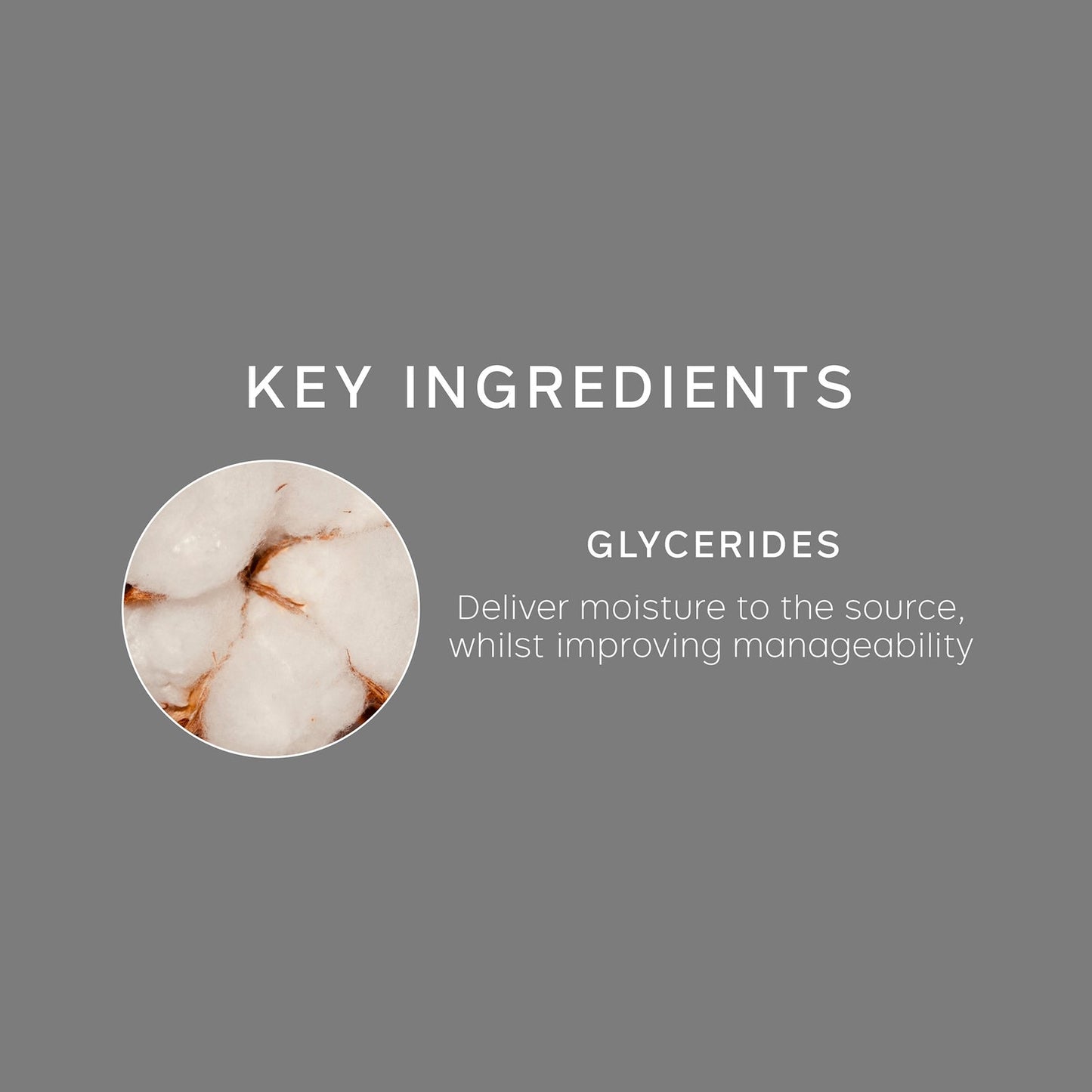 Philip Kingsley No Scent No Colour Gentle Shampoo 250ml