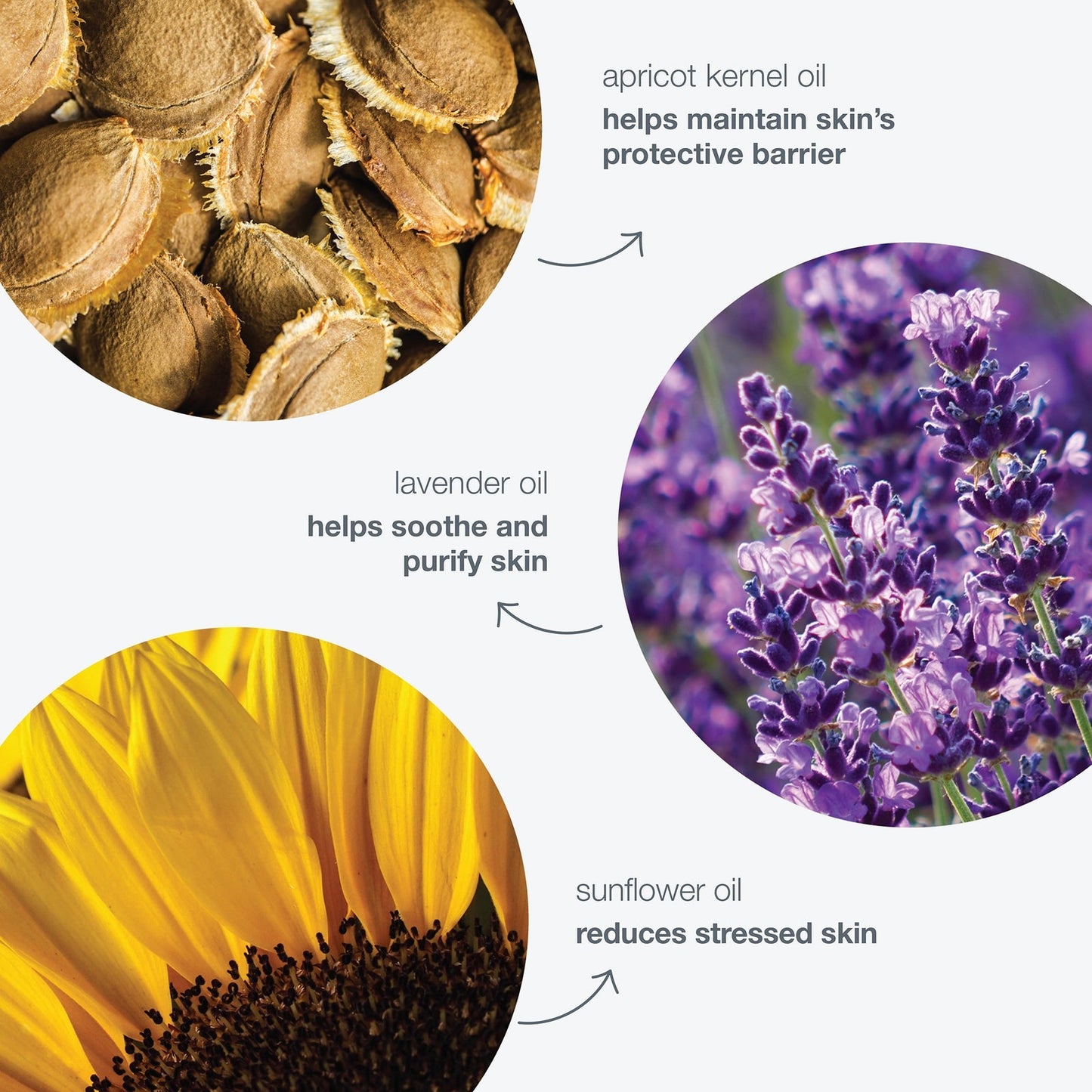 Dermalogica Skin Health Precleanse