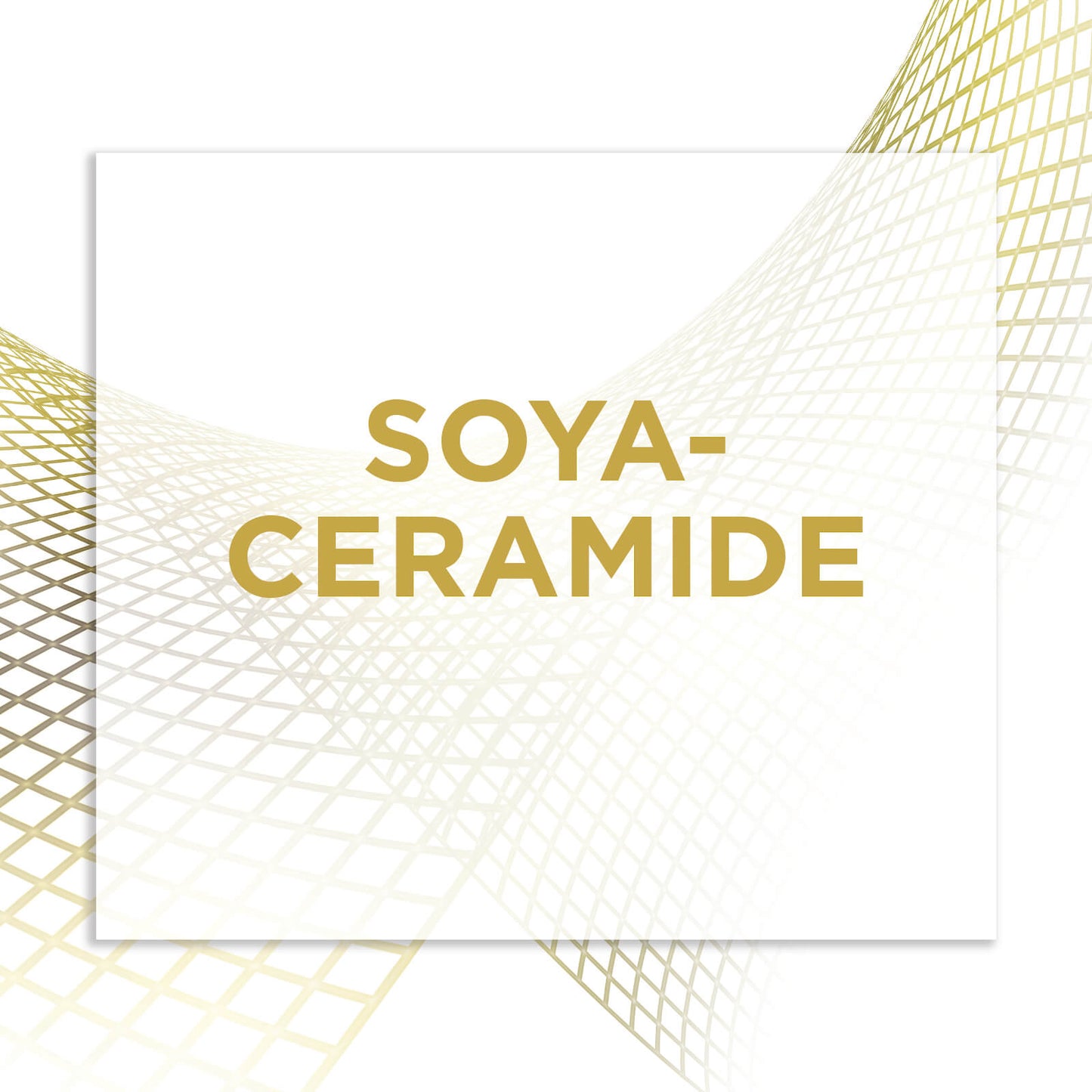 6X L'oreal Paris Pack7 Revitalift Laser Renew Ampoules 7 Day Cure Peeling Effect - 6 Pack