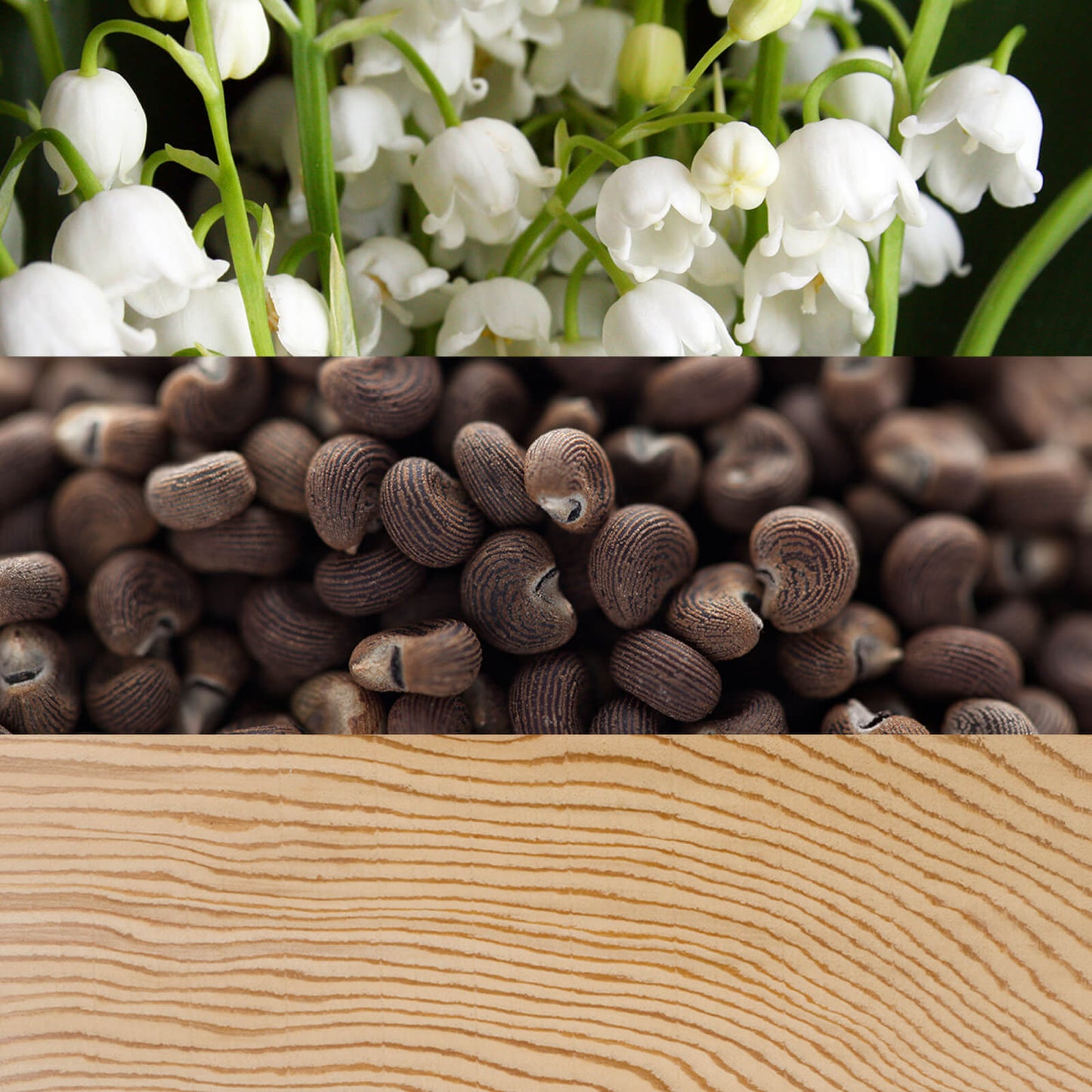 CALVIN KLEIN Beauty Eau de Parfum Spray