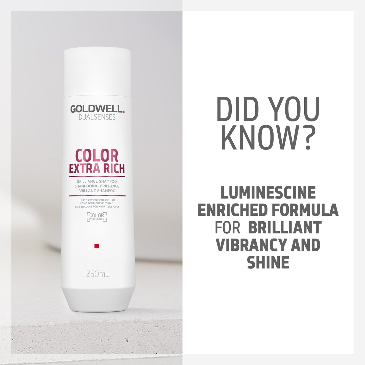 Goldwell Dualsenses Color Extra Rich Brilliance Shampoo, Anti-Colour Fading For Thick, Coarse Hair 250ml
