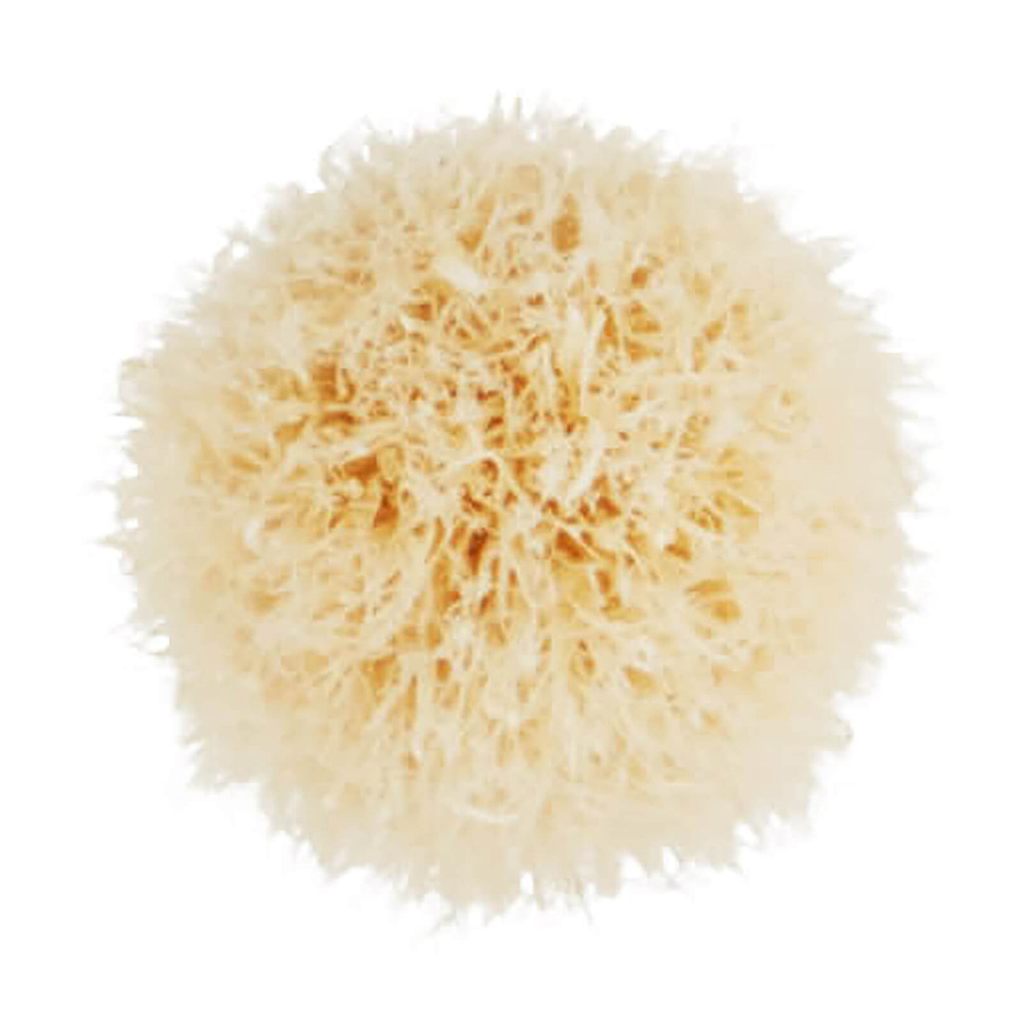 MAC #221S Mini Tapered Blending Brush