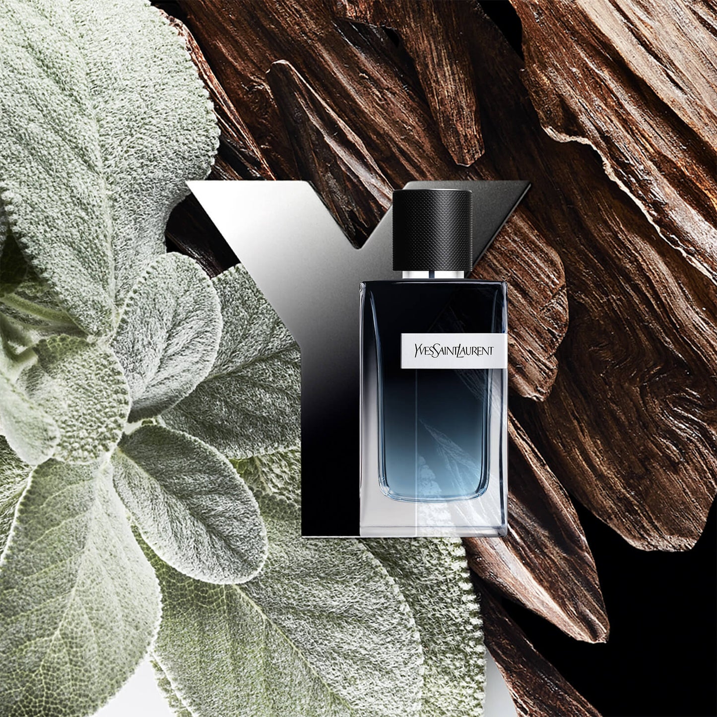 Yves Saint Laurent Y