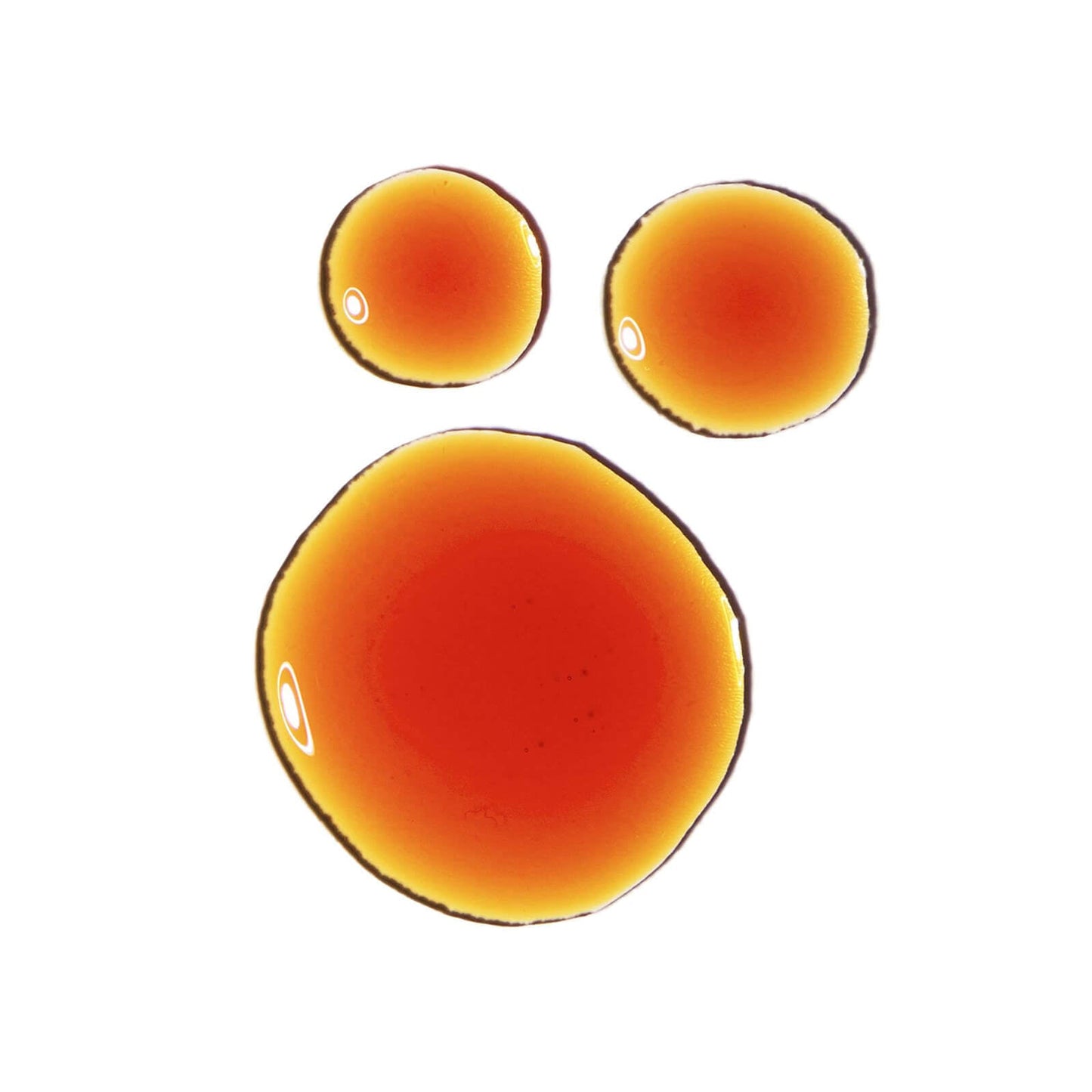 The Ordinary Treat Pycnogenol 5%