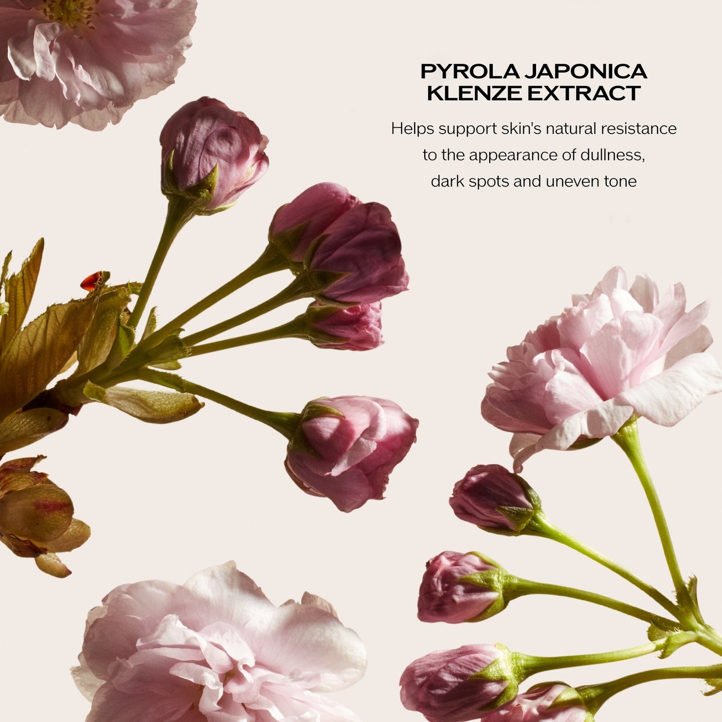 Shiseido White Lucent Verhelderende Gelcrème 50 ml