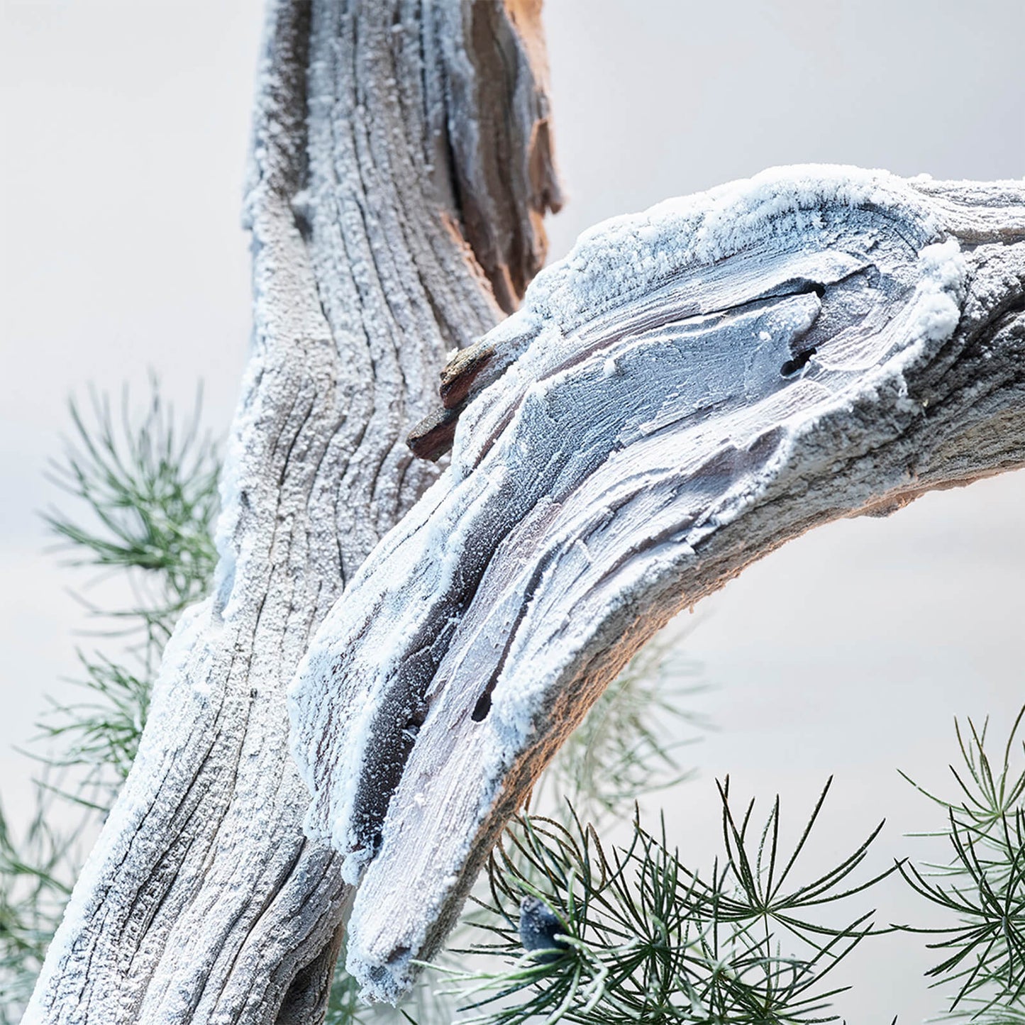 BVLGARI BVLGARI MAN Glacial Essence Eau de Parfum