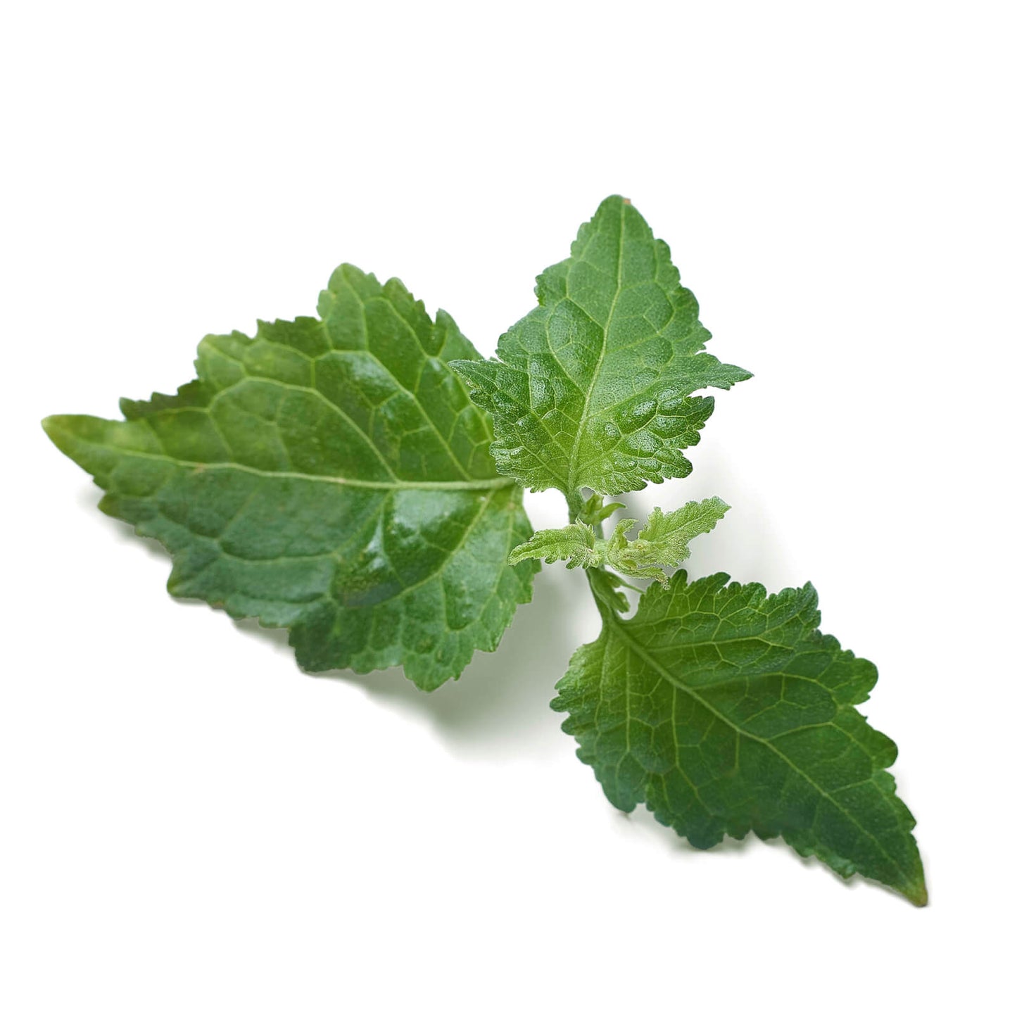 Rituals Travel L'Essentiel Eau de Parfum 15ml