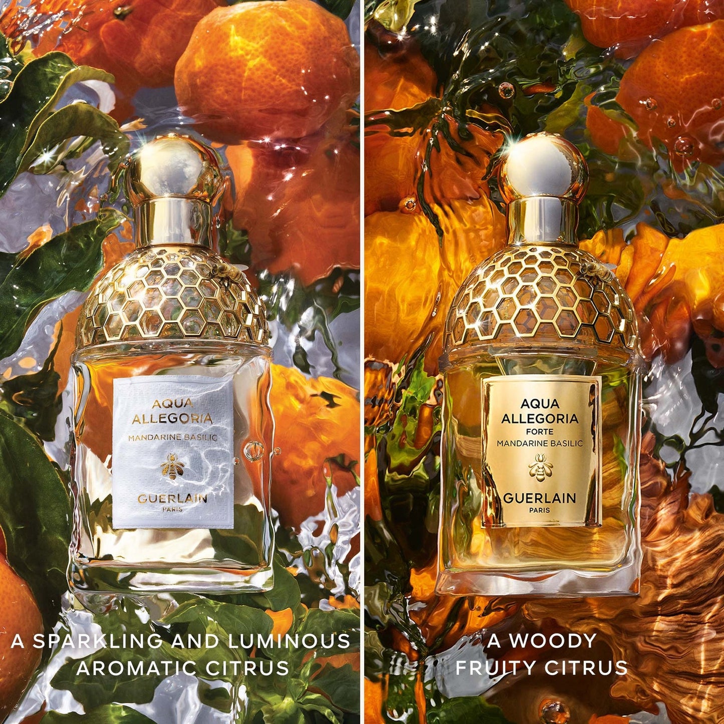 Guerlain Aqua Allegoria Mandarine Basilic Forte