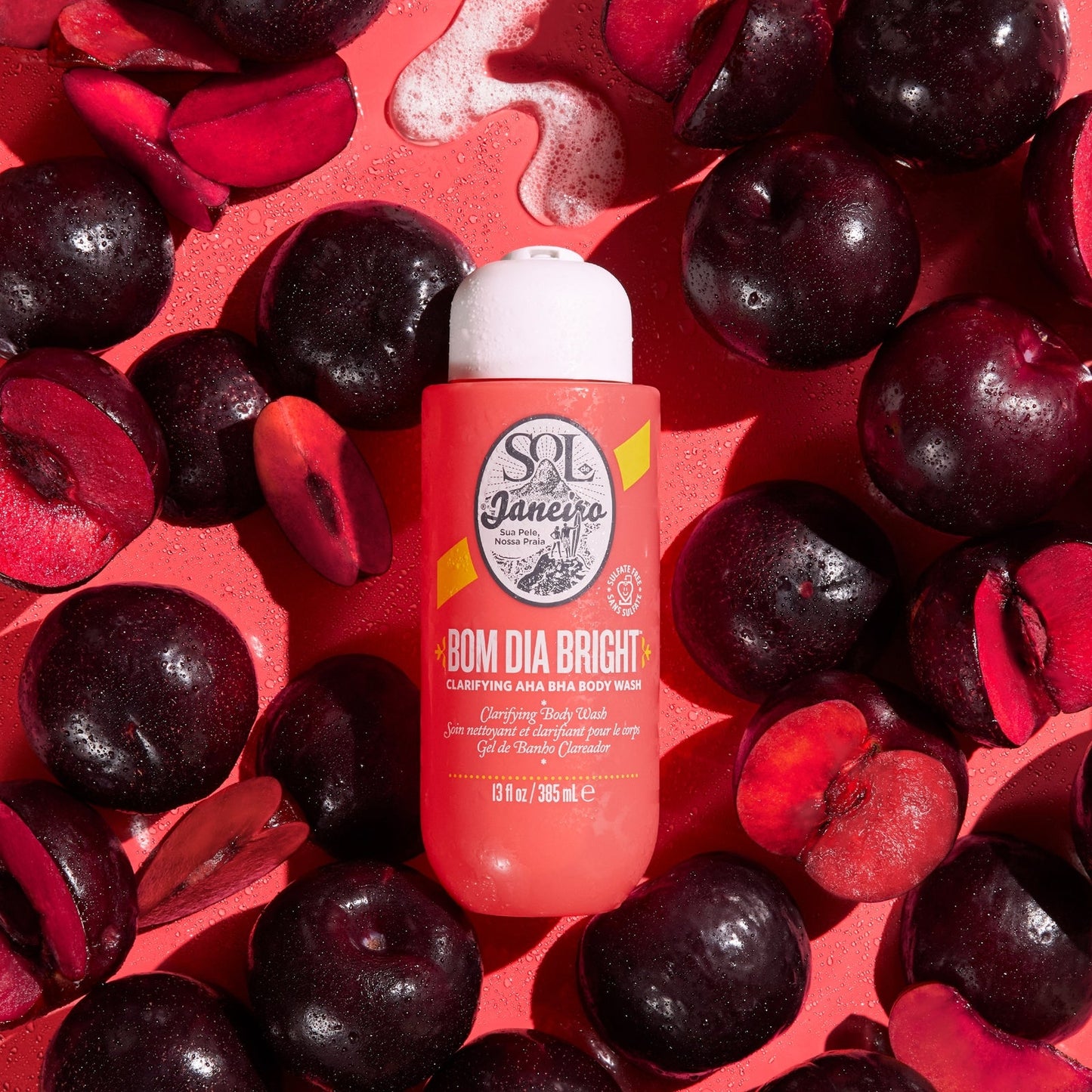 Sol de Janeiro Bom Dia