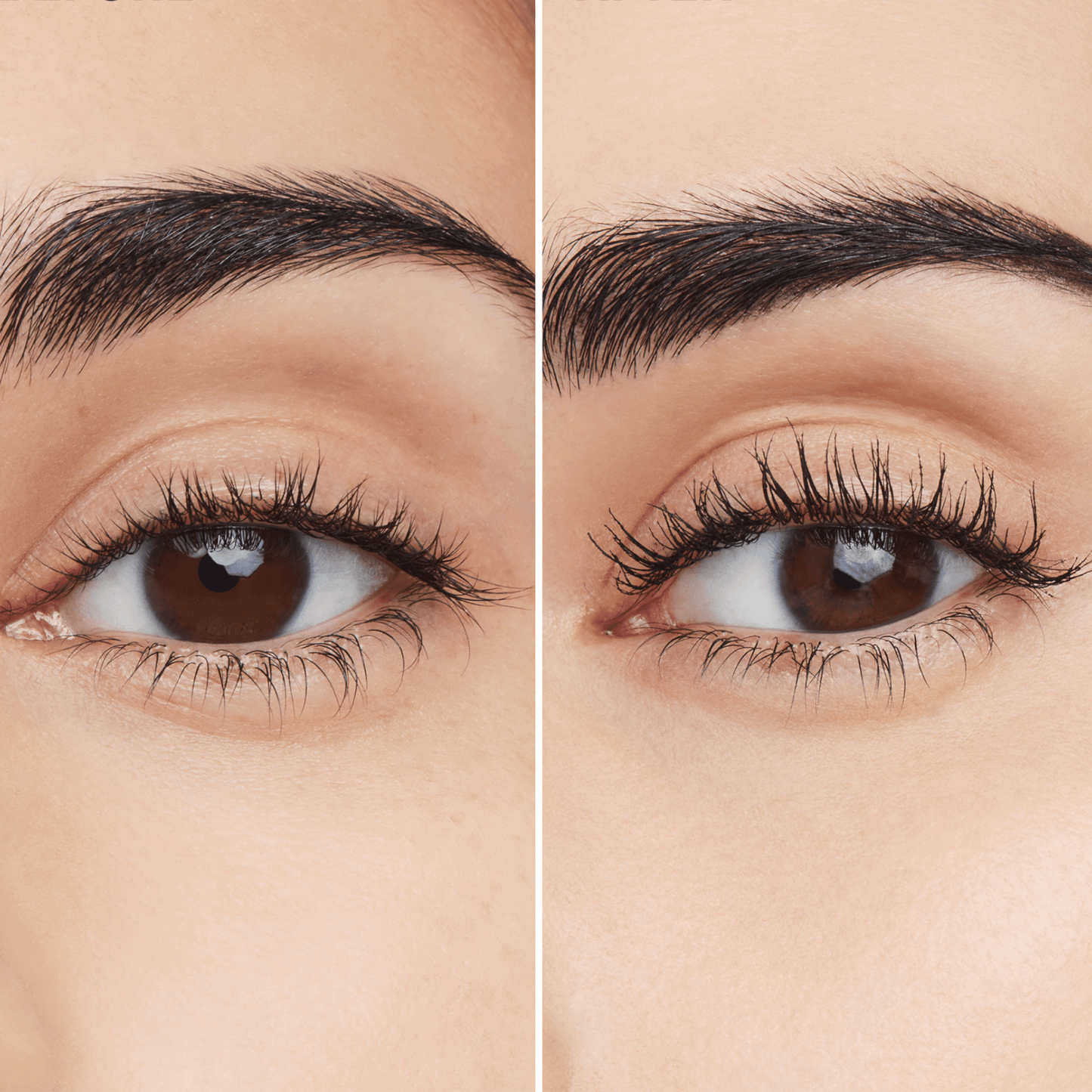 Estée Lauder Turbo Lash Mascara