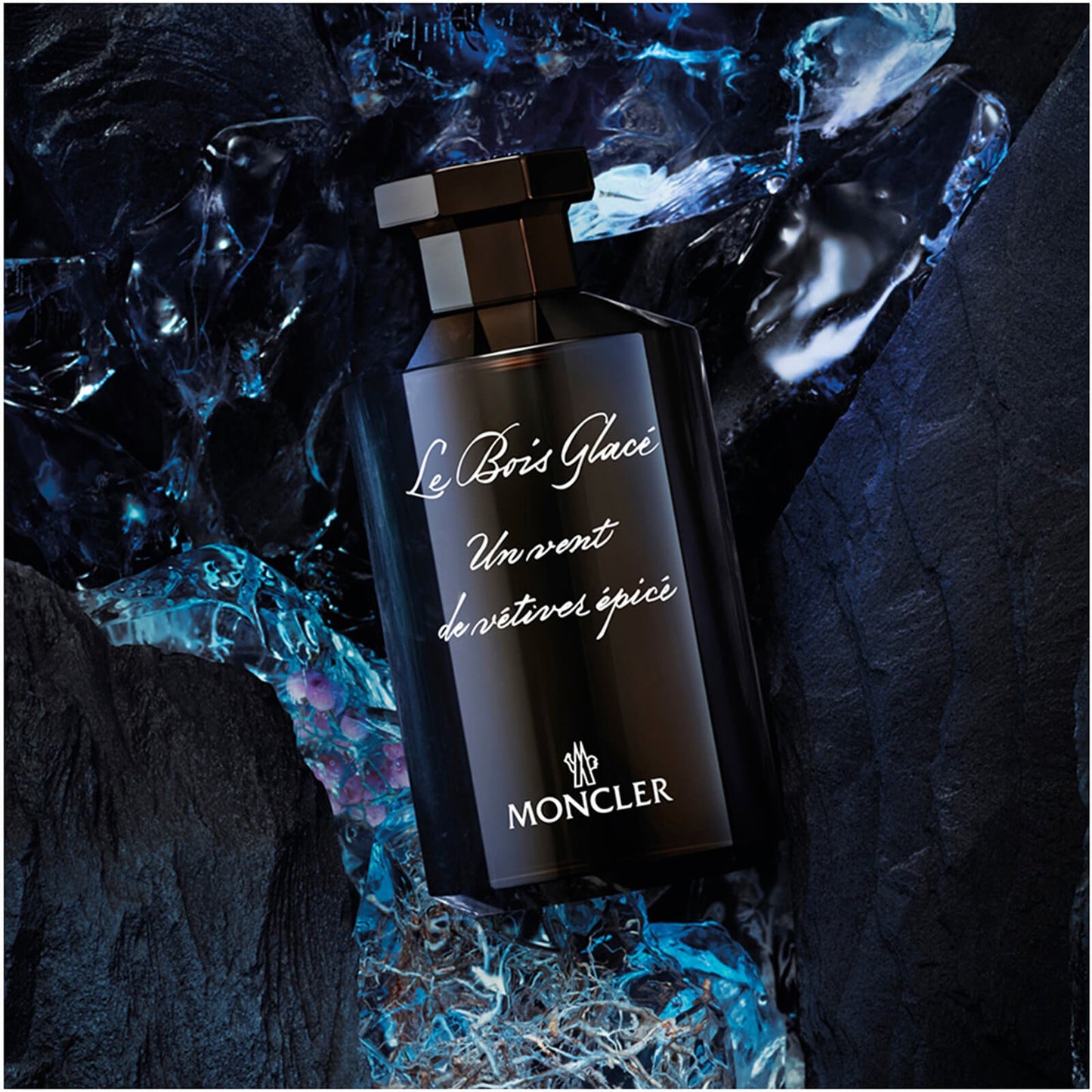 MONCLER Les Sommets Le Bois Glace