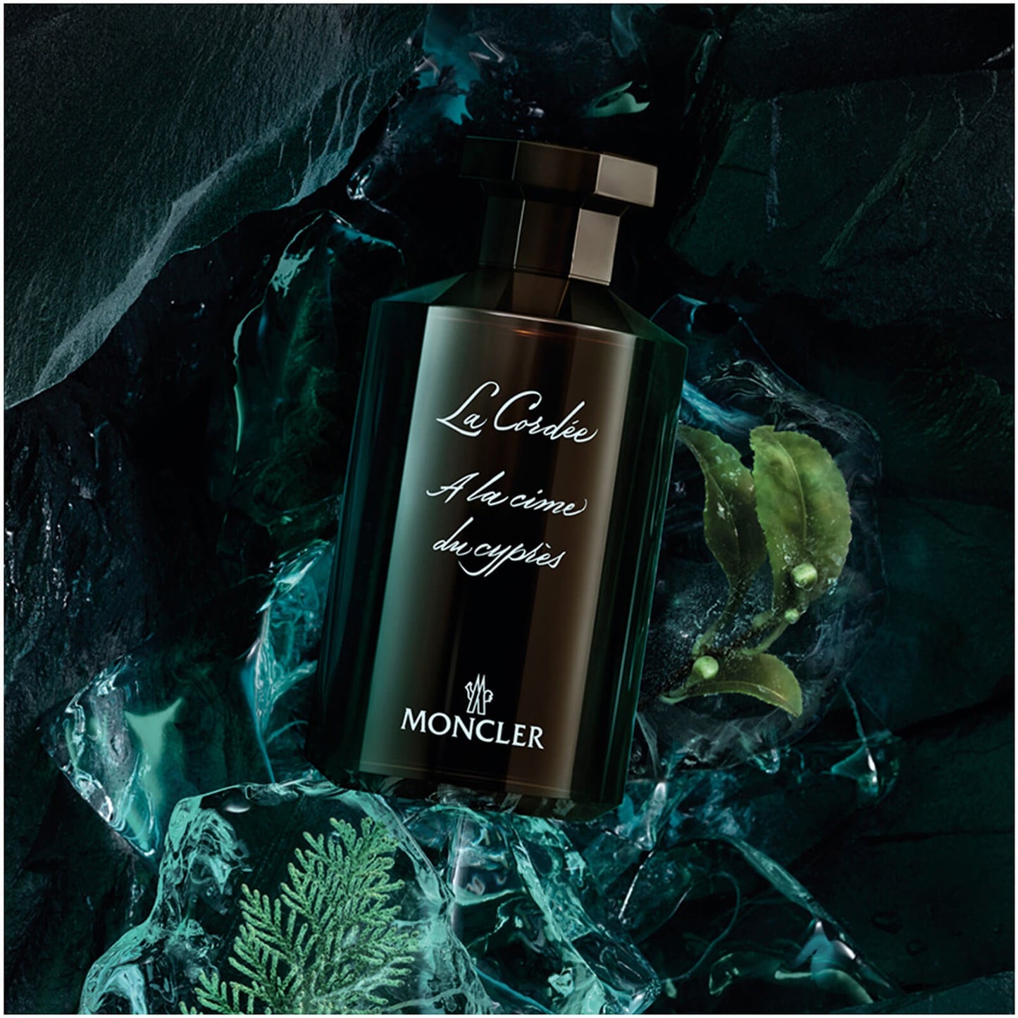 MONCLER Les Sommets La Cordée