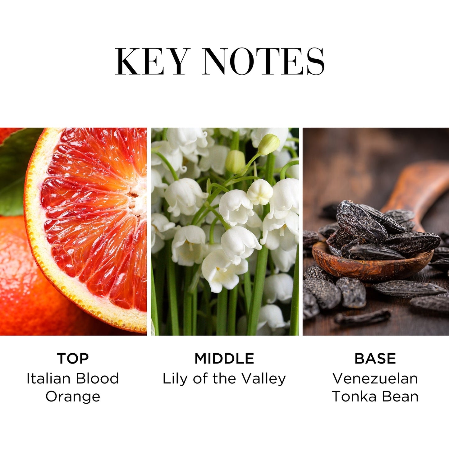 Elizabeth Arden White Tea Eau Fraiche Eau de Toilette Spray 100ml / 3.3 fl.oz.