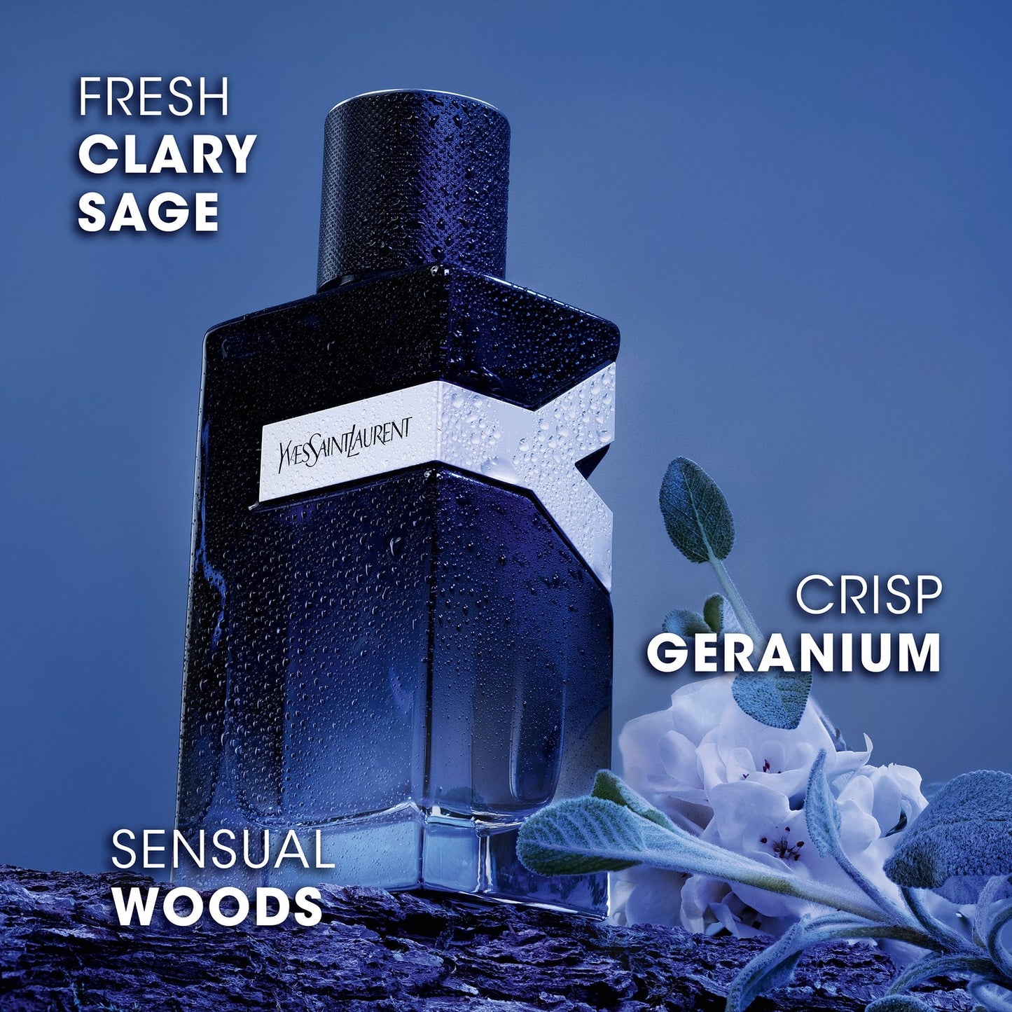 Yves Saint Laurent Y