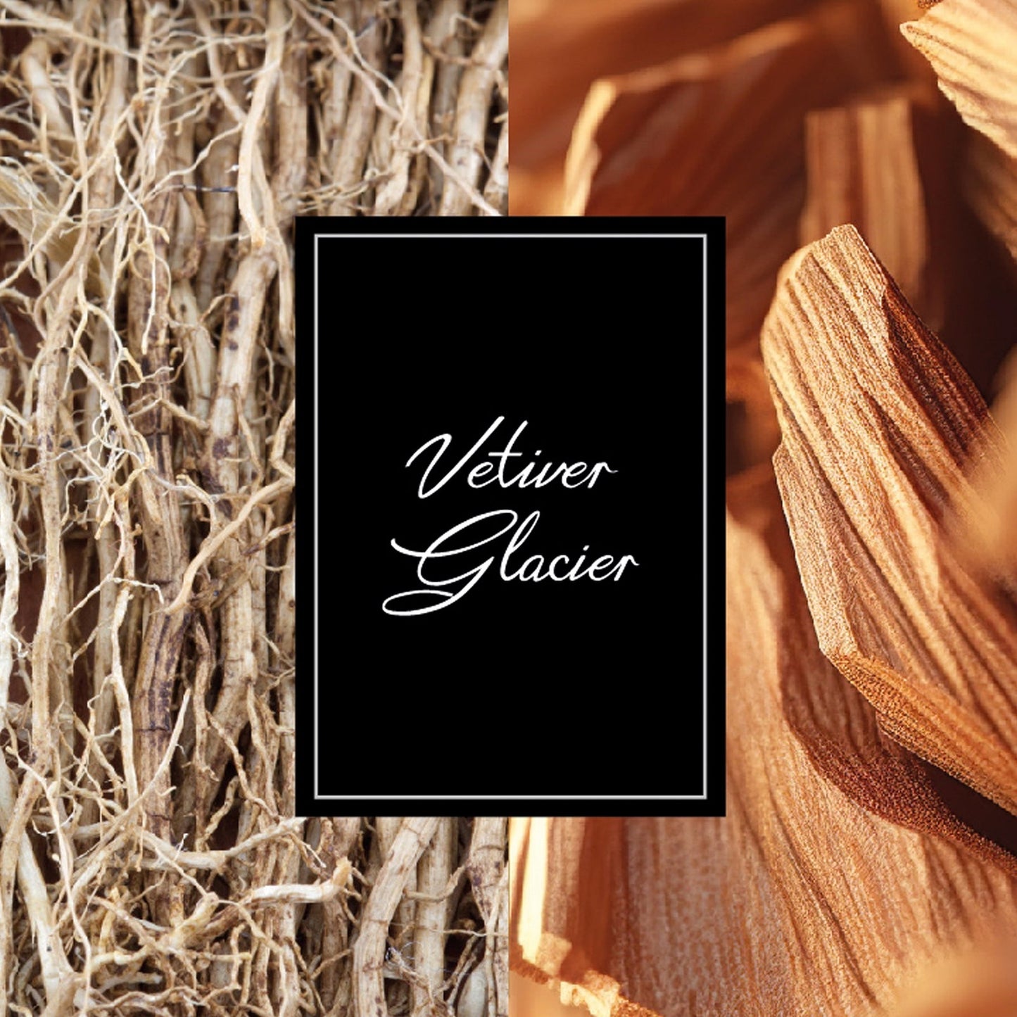 Montblanc Vetiver Glacier