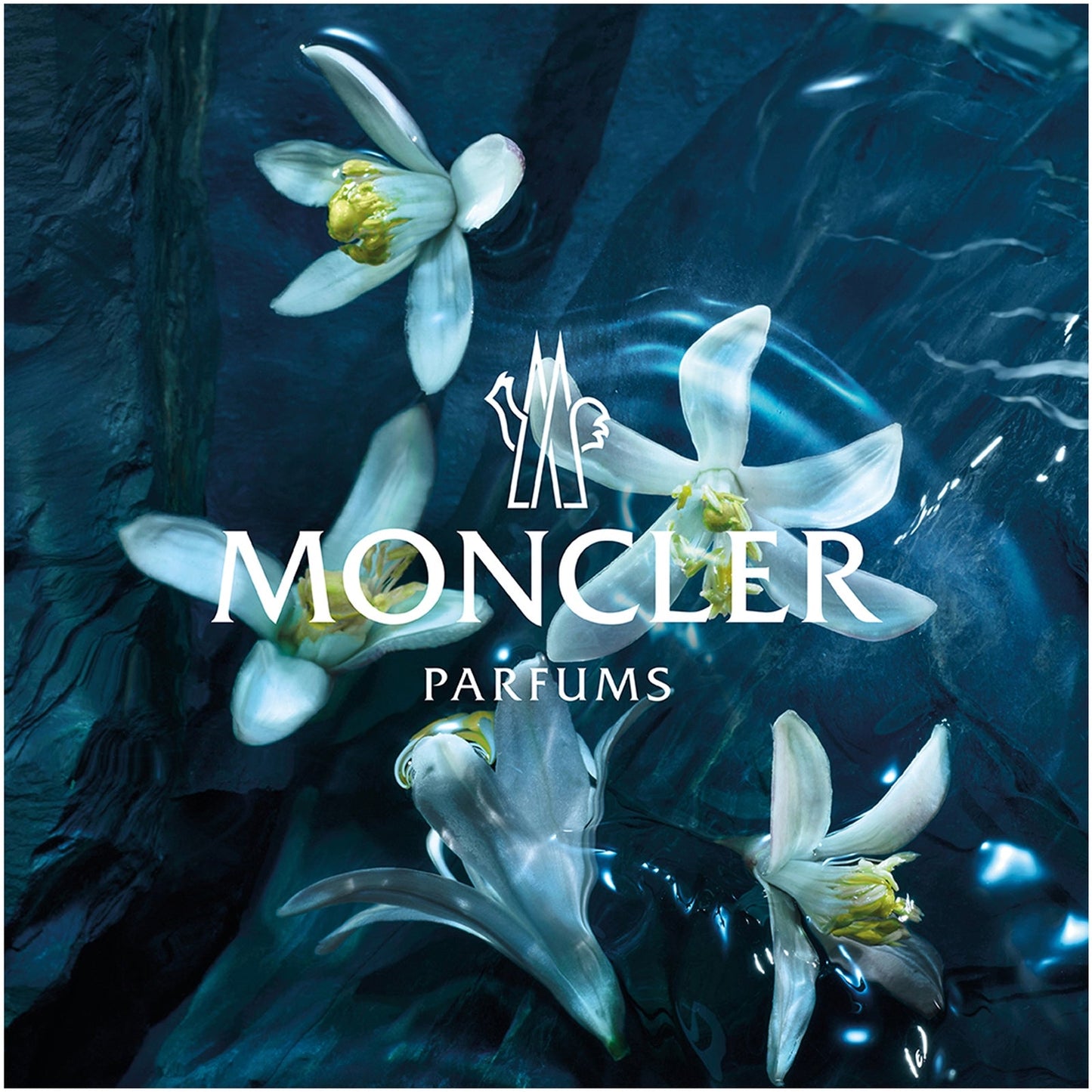 MONCLER Les Sommets Ciel d'Hiver