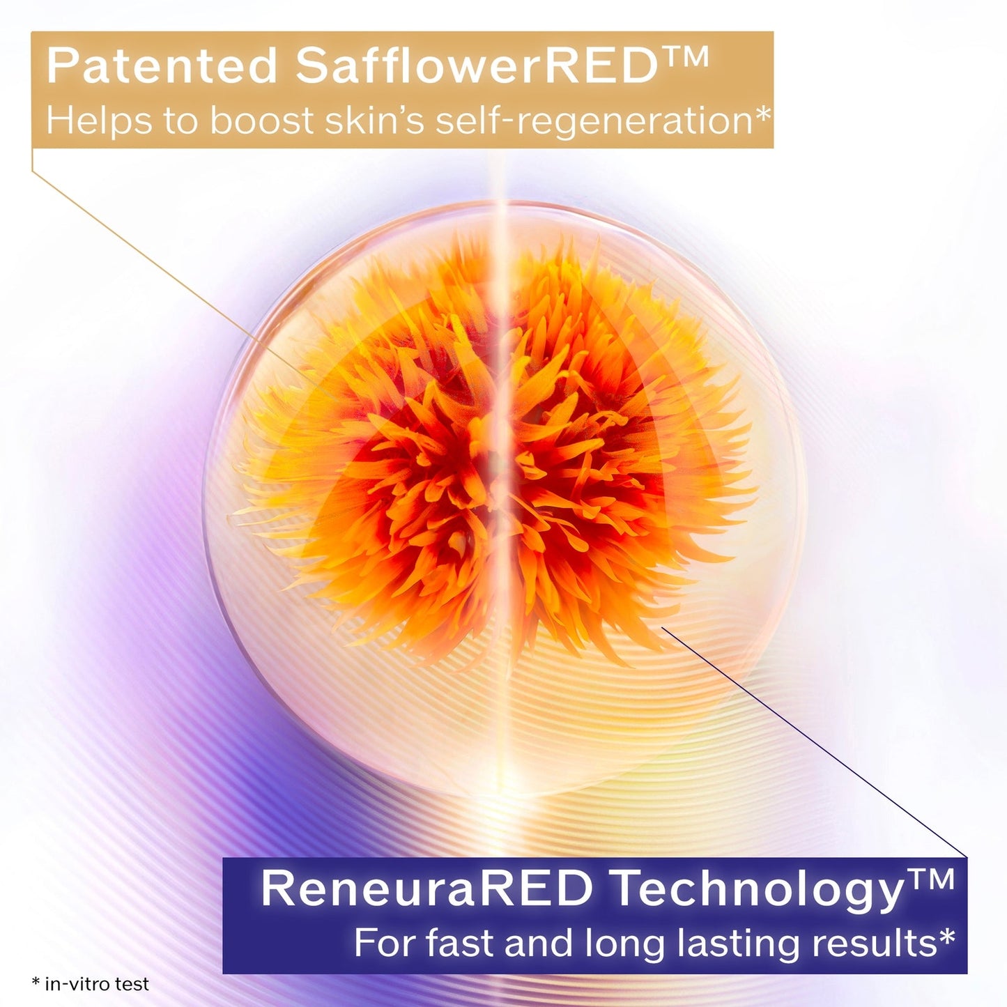 Shiseido Vital Perfection Overnight Firming Treatment 50ml