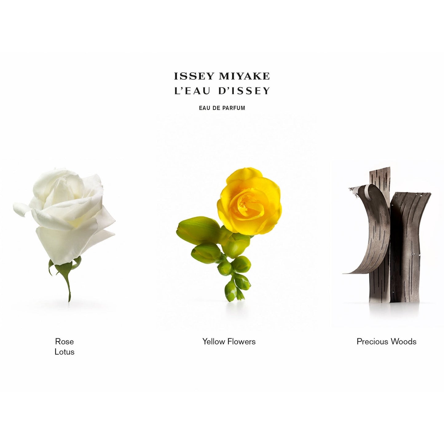 Issey Miyake L’Eau d’Issey Eau de Parfum