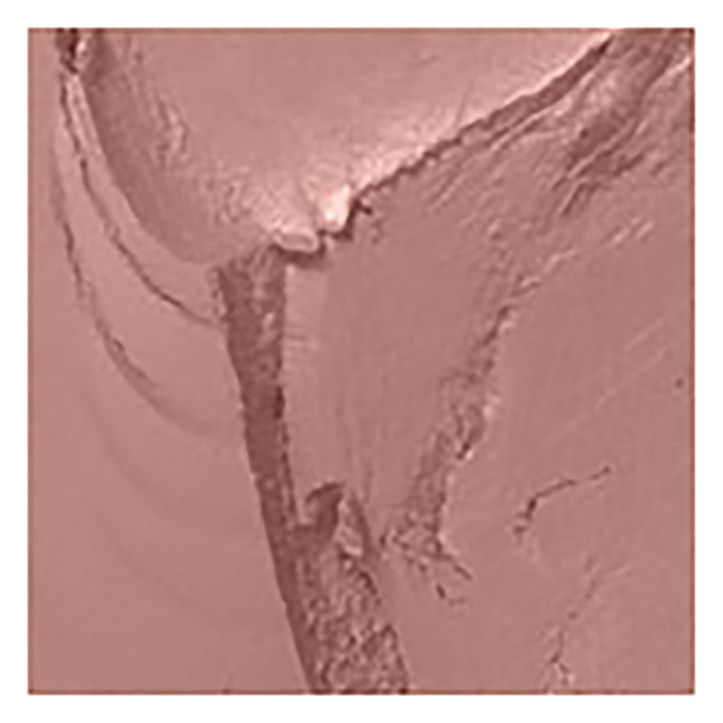 MAC Cream Colour Base