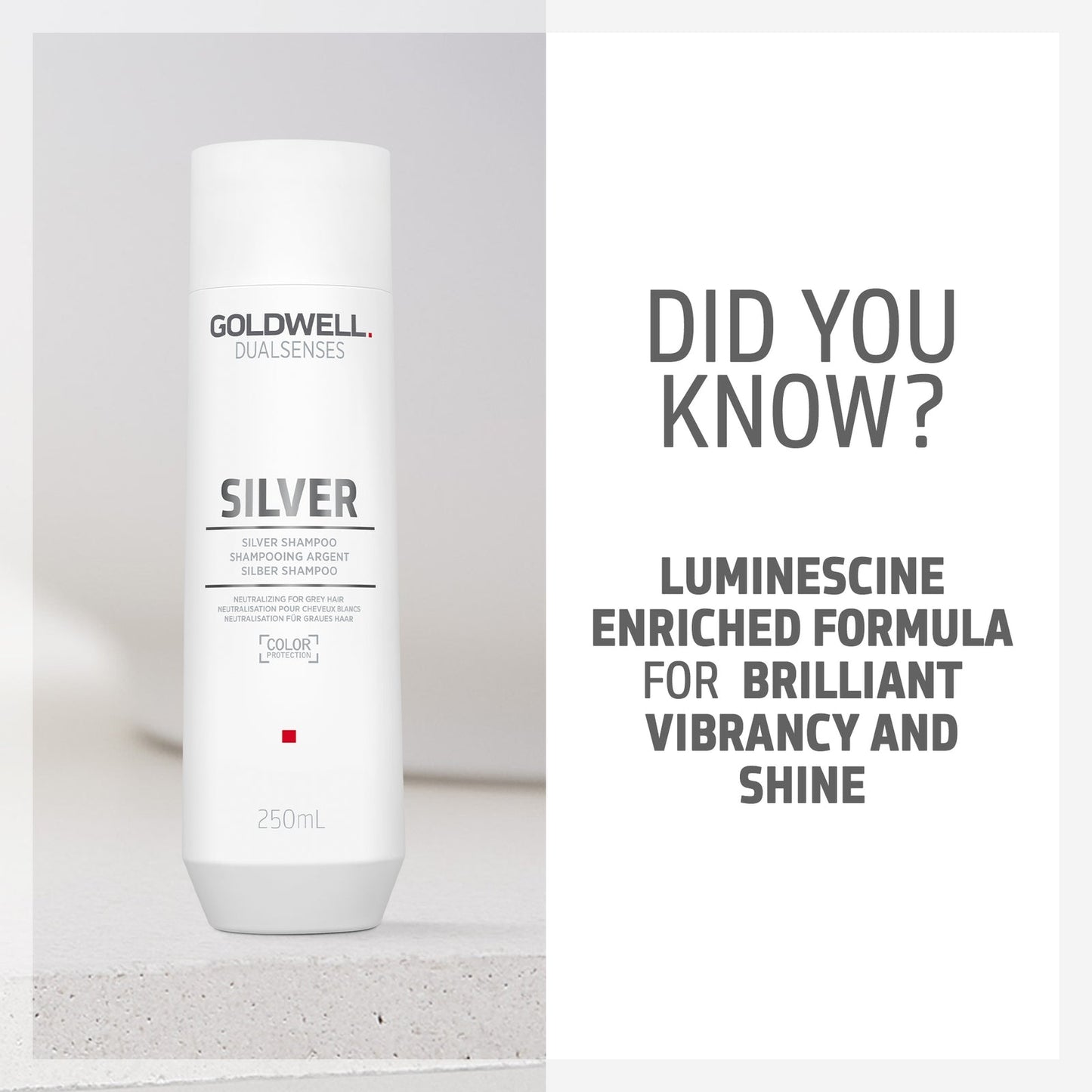 Goldwell Dualsenses Silver Shampoo For Grey & Cool Blonde Hair 250ml