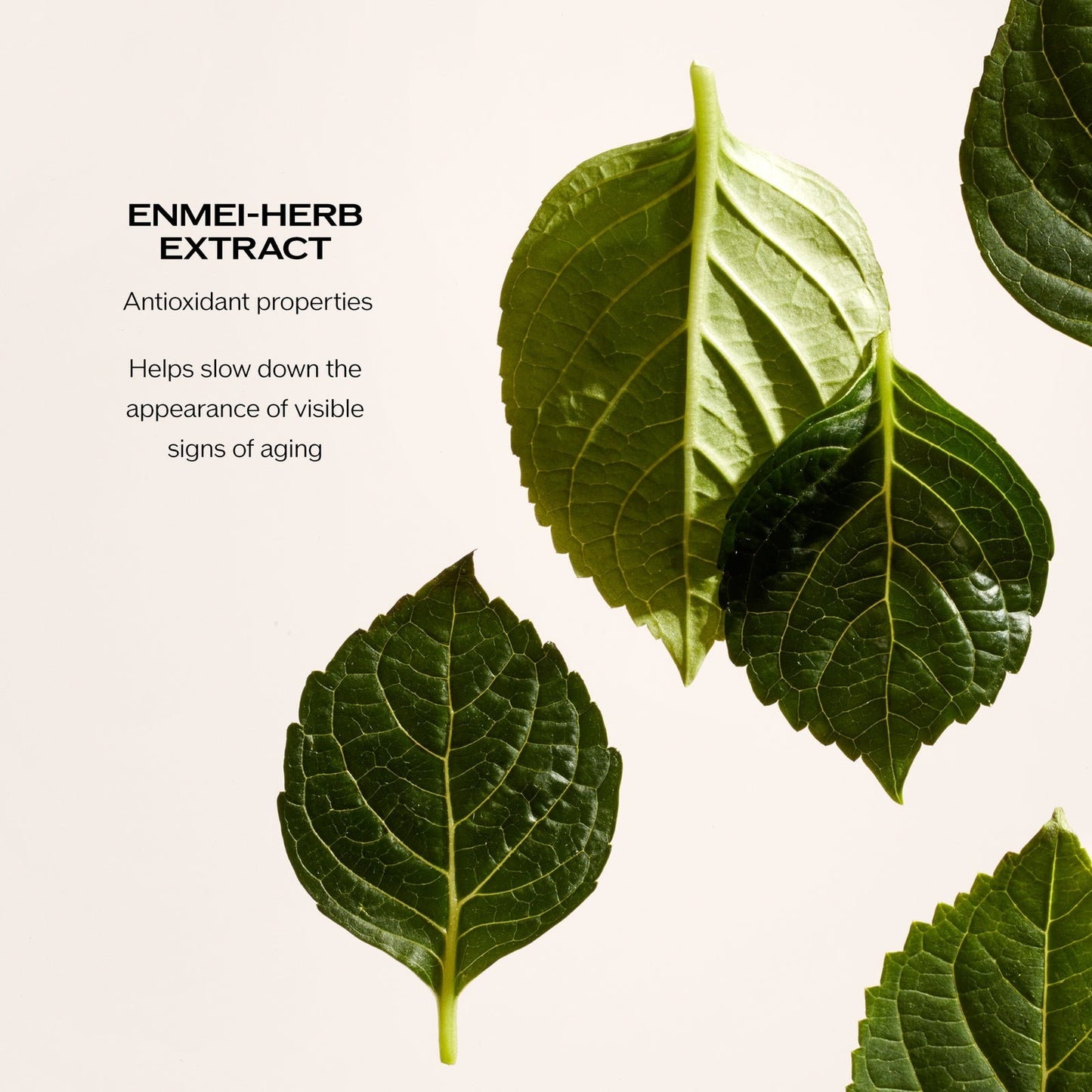 Shiseido Future Solution LX Total Regenerating Night Cream 50ml