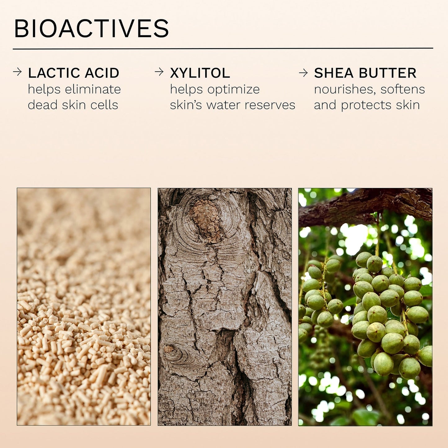 REN Clean Skincare AHA Smart Renewal Body Serum 200ml