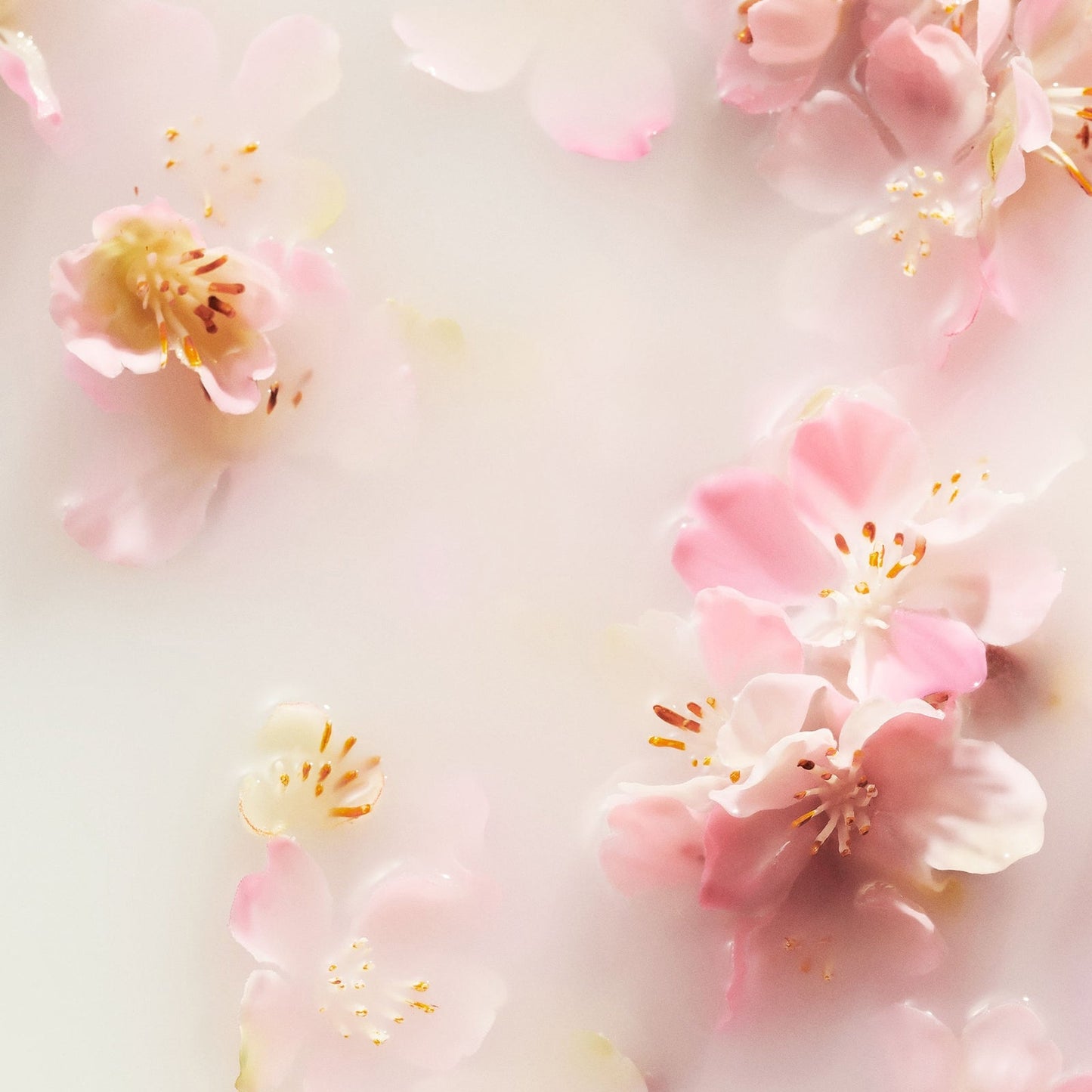 Rituals The Ritual of Sakura Floral Cherry Blossom & Rice Milk Mini Bath and Body Set