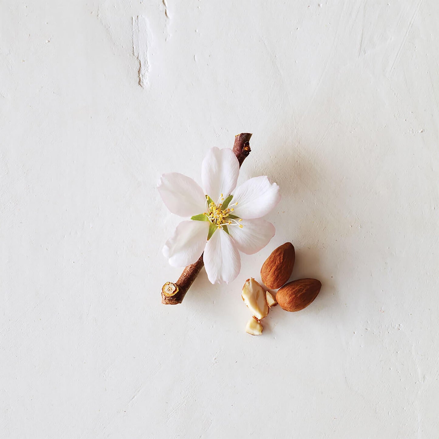 Aveda Cherry Almond Shampoo & Conditioner Duo