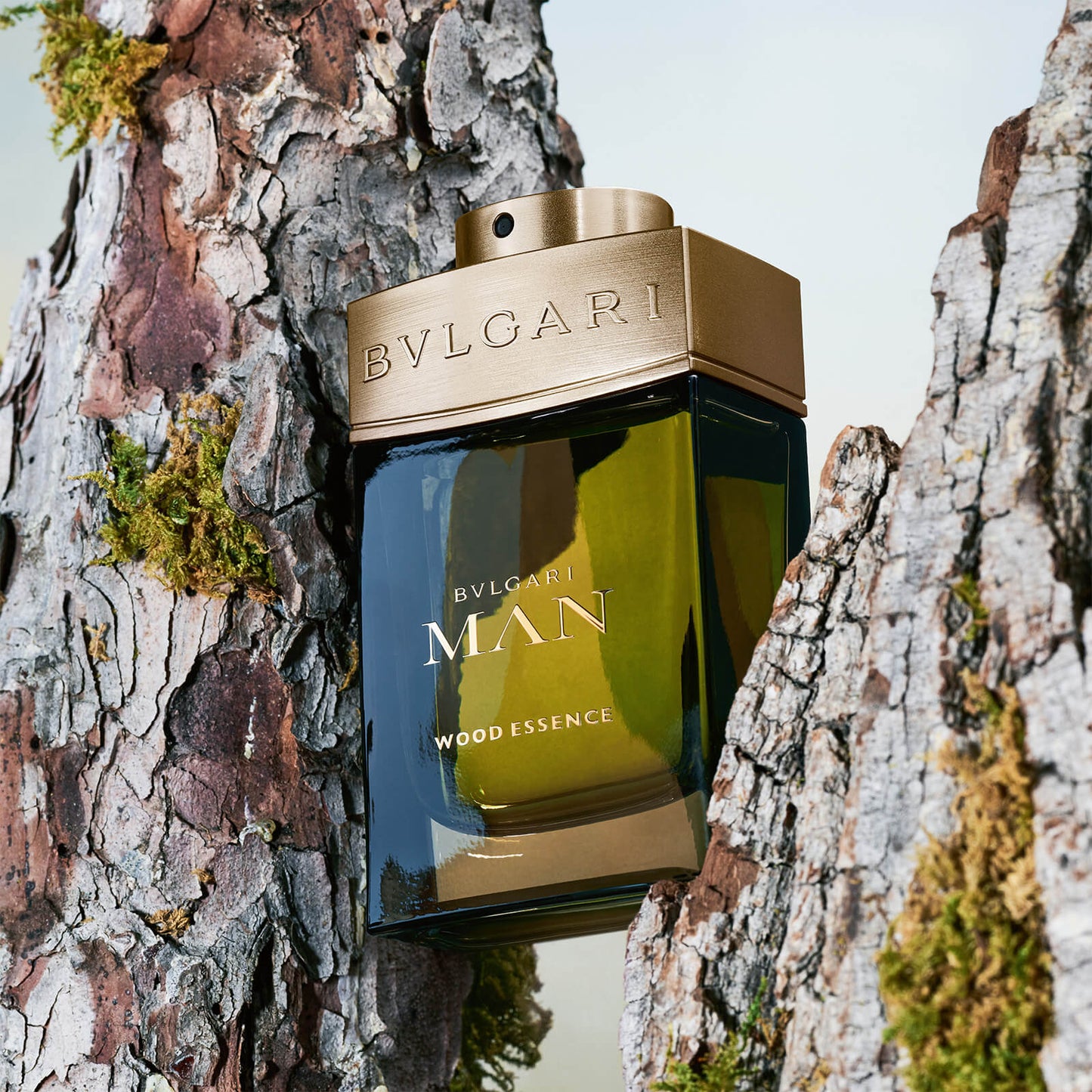 BVLGARI BVLGARI MAN Wood Essence Eau de Parfum