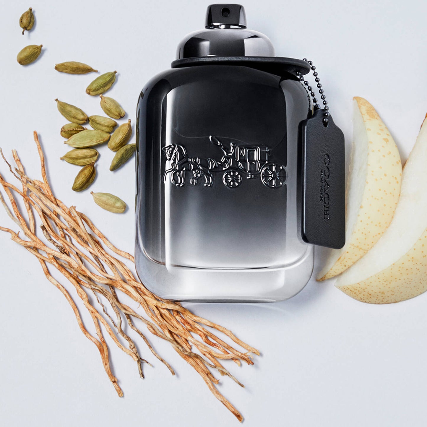 Coach Men's Eau de Toilette 100ml