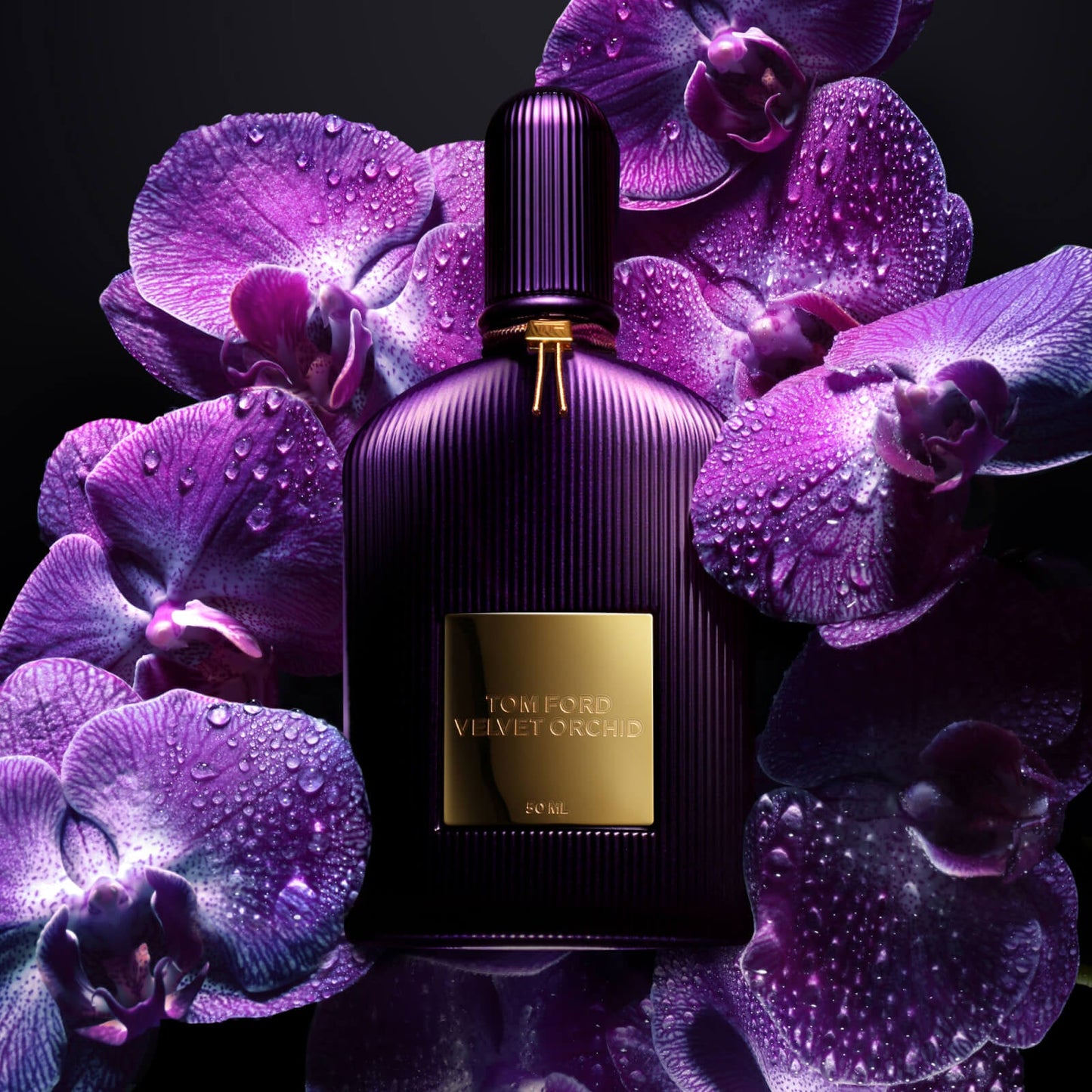 TOM FORD Signature Fragrances Velvet Orchid