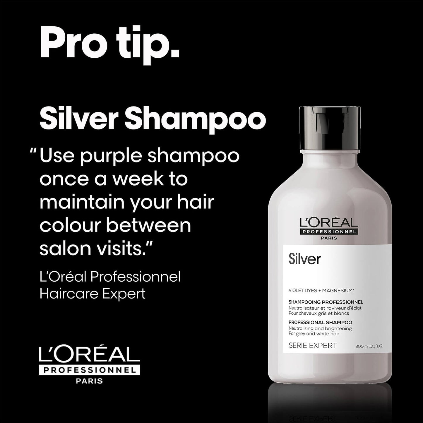 L´Oréal Professionnel Silver