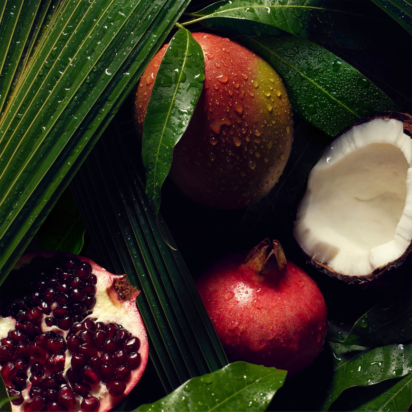 Aveda Nutriplenish Light Moisture Shampoo 1000ml (Worth £100.00)