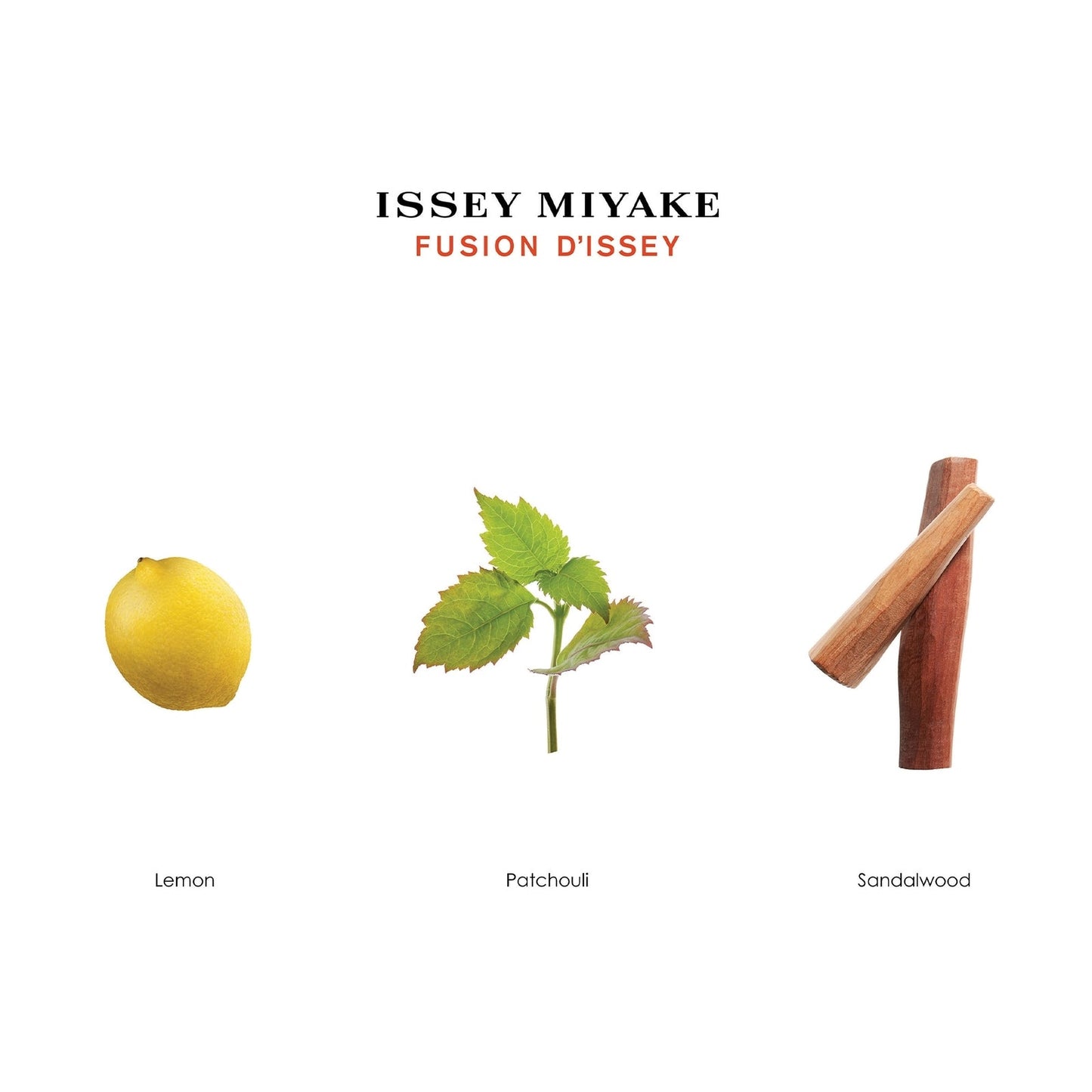 ISSEY MIYAKE Fusion d'Issey Eau de Toilette 100ml