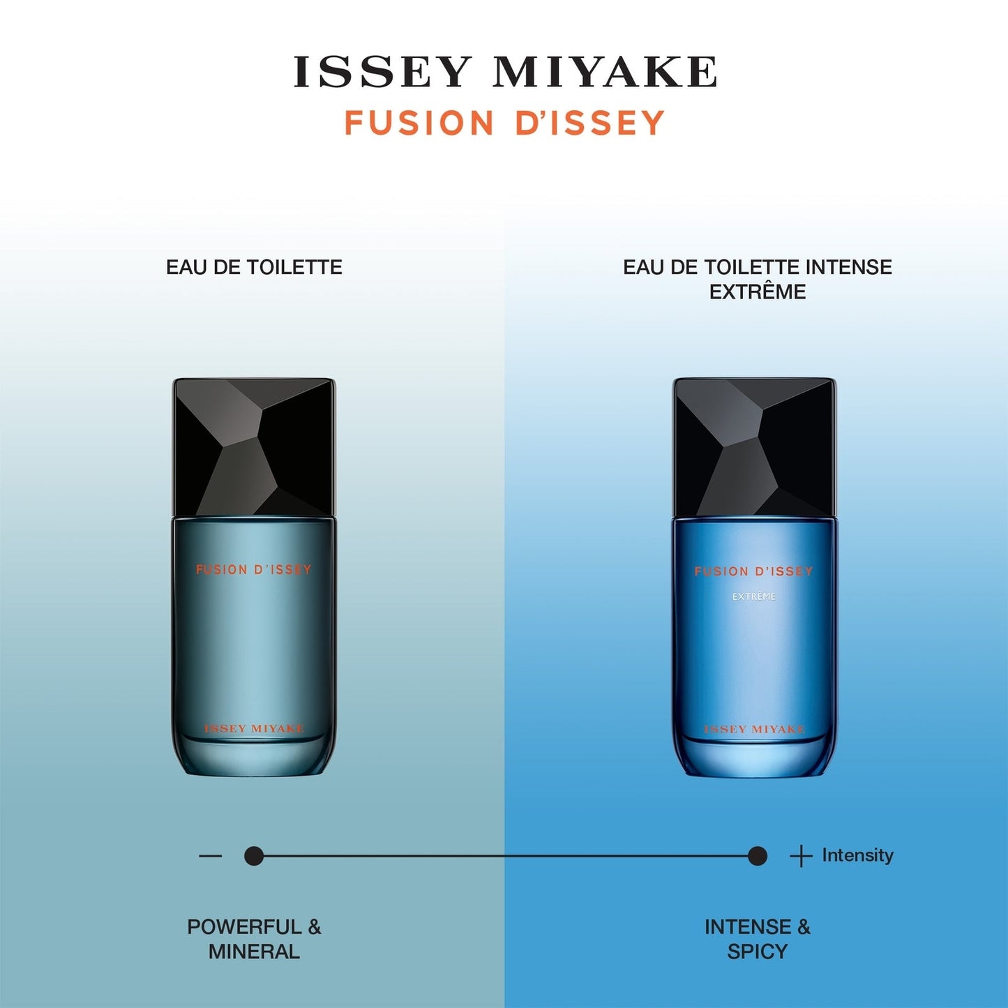 ISSEY MIYAKE Fusion d'Issey Eau de Toilette 100ml