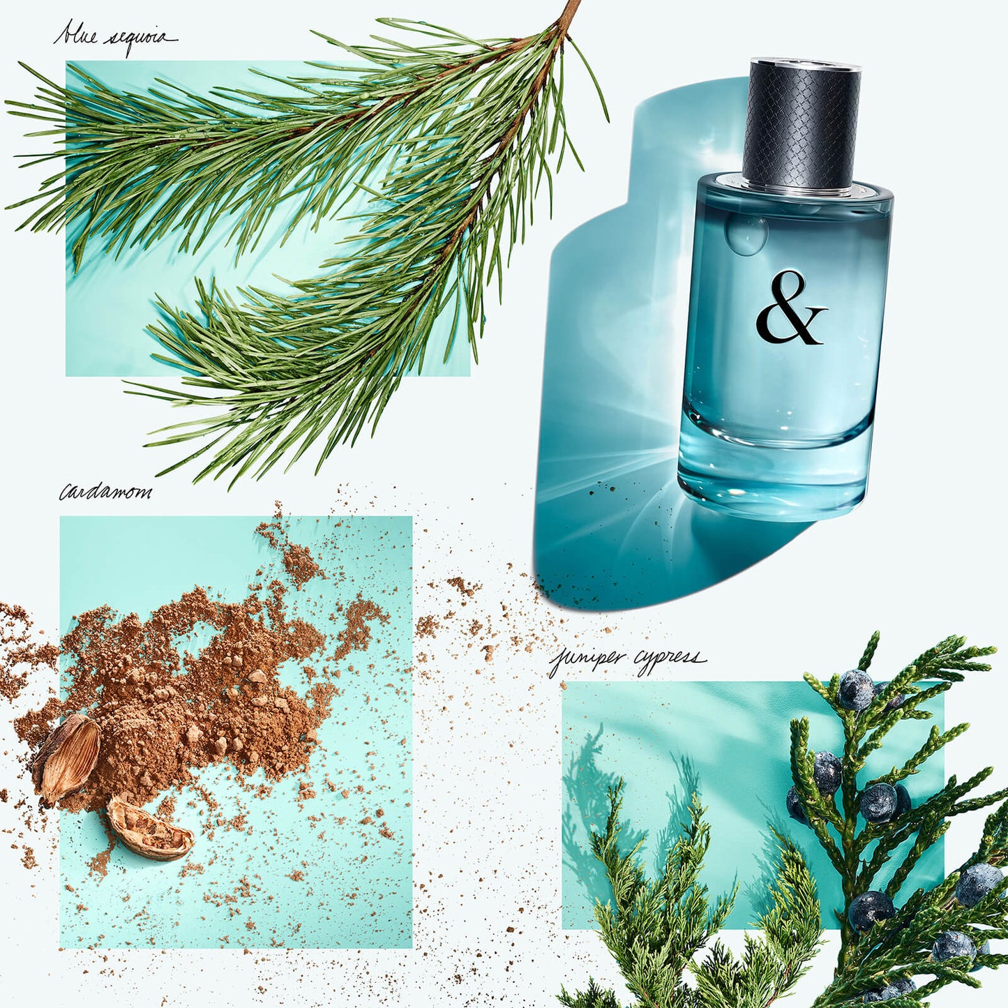 Tiffany & Co. & Love for Him Eau de Toilette 90ml