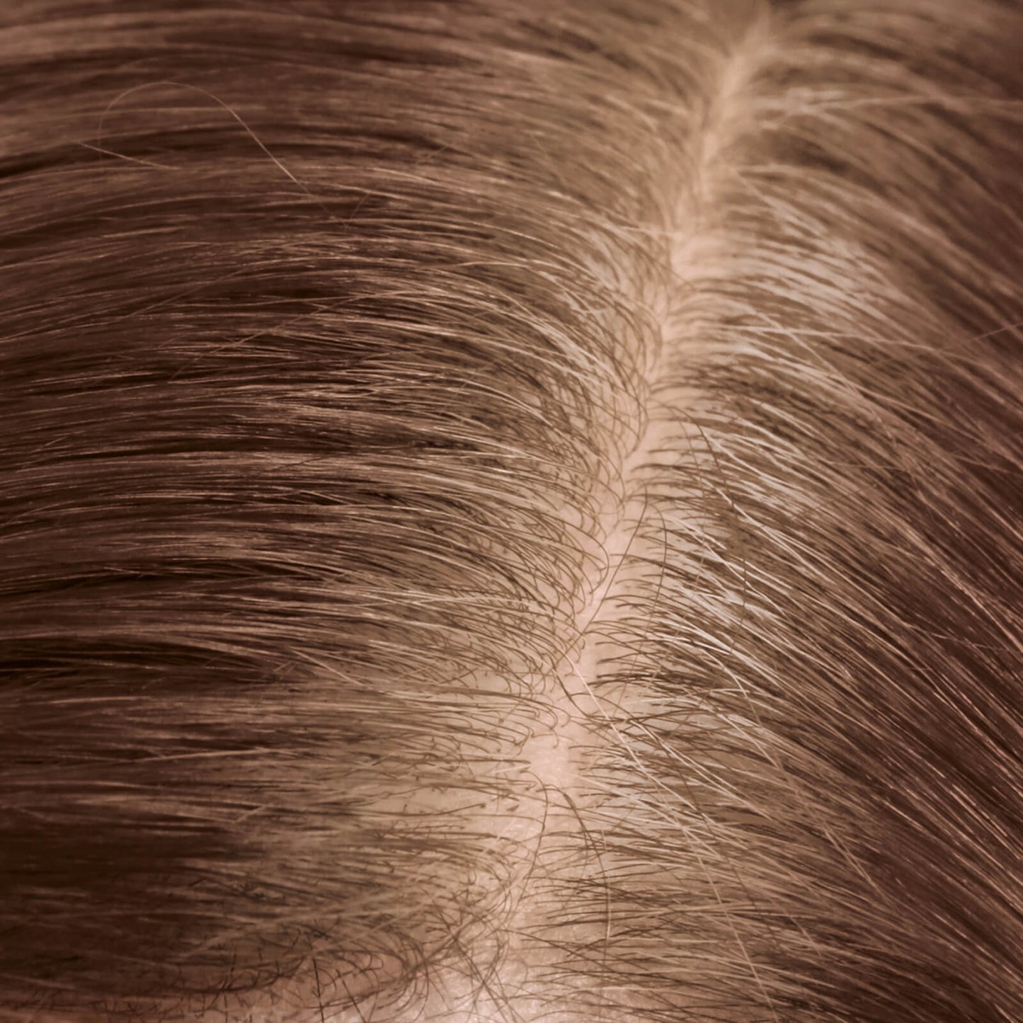 Goldwell Dualsenses Color Revive Root Touch Up To Cover Up Root Or Grey Hair Regrowth, Medium Brown 3.7g