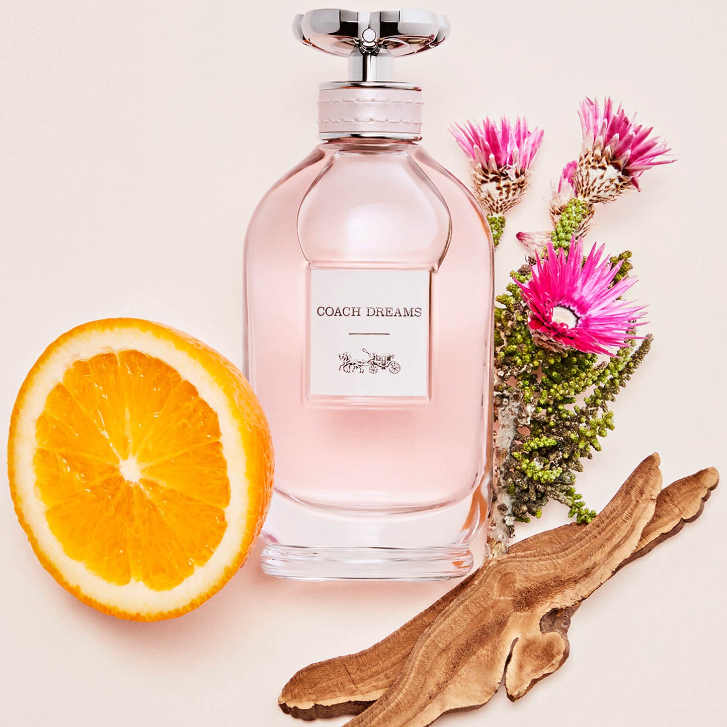 COACH Dreams Eau de Parfum