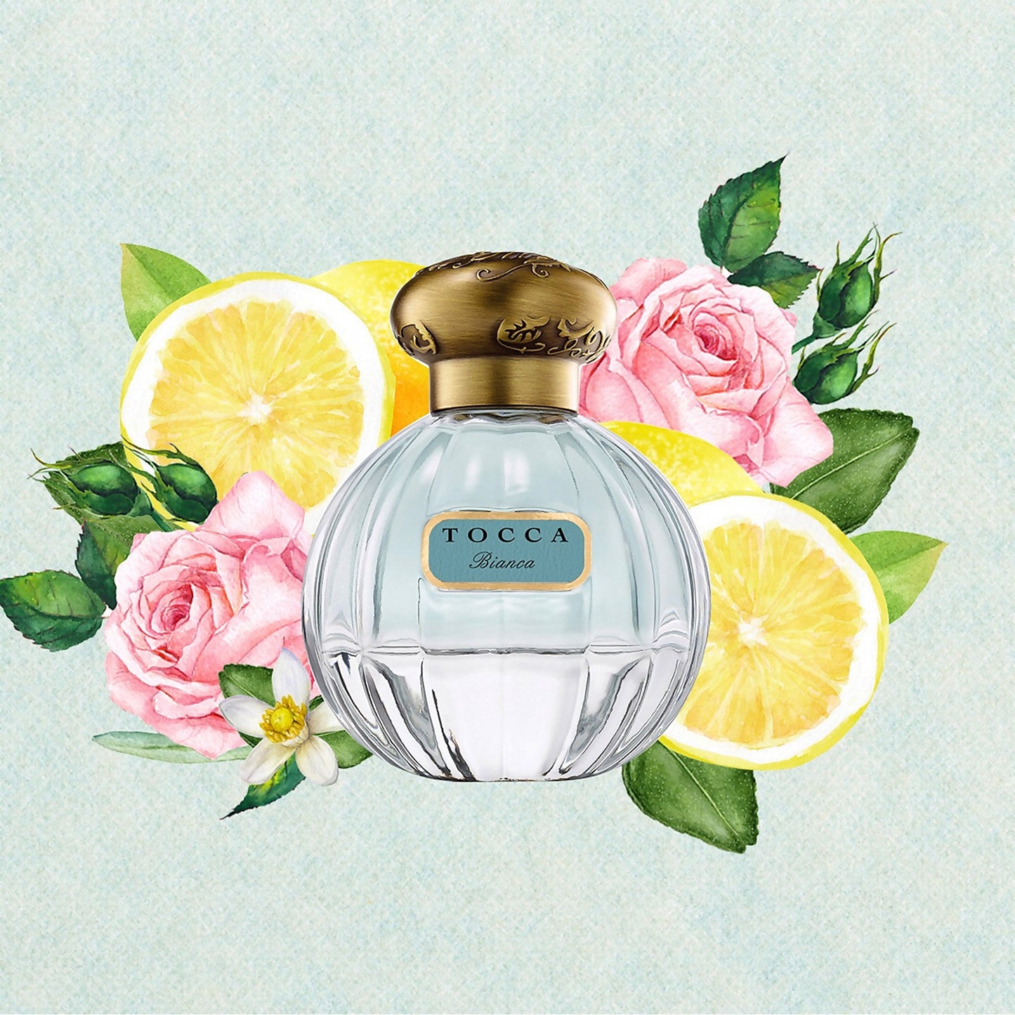 Tocca Bianca Eau de Parfum 100ml