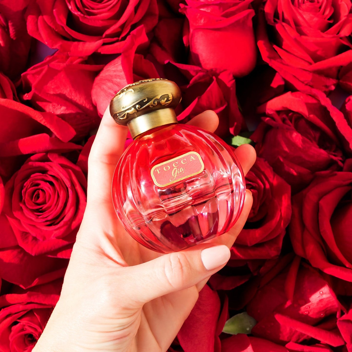 Tocca Gia Eau de Parfum 50ml