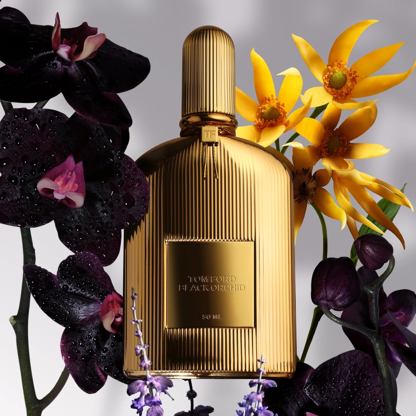 TOM FORD Signature Fragrances Black Orchid Parfum