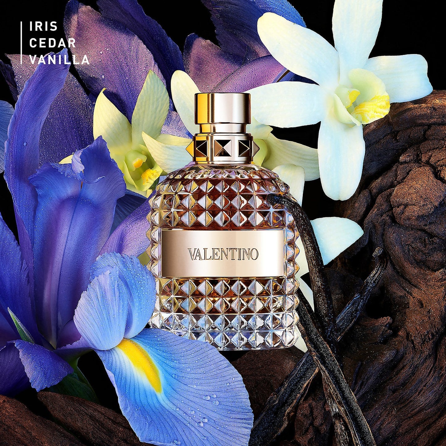 Valentino Uomo Eau de Toilette