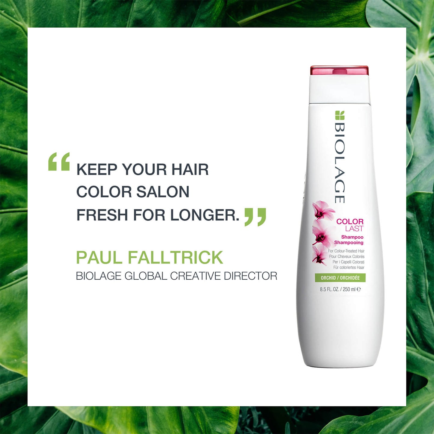 Biolage Color Last Shampoo