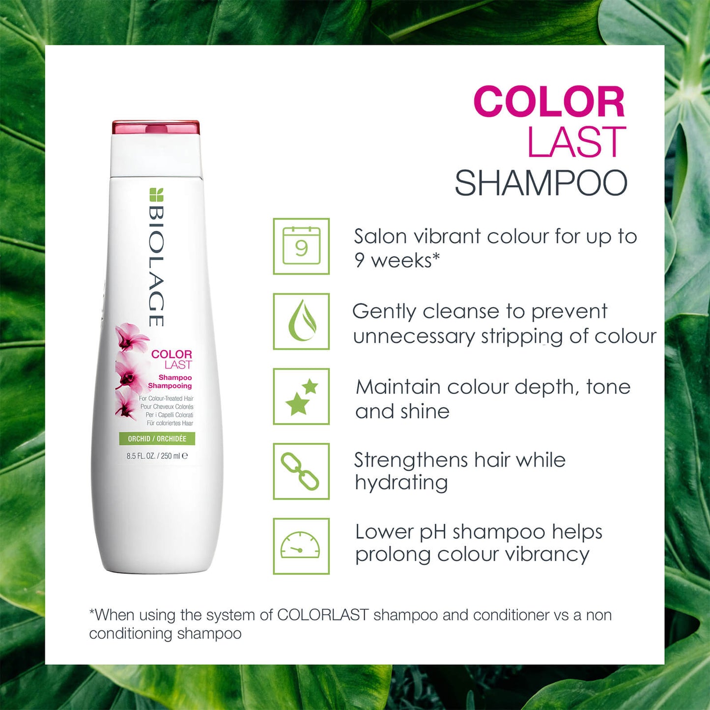 Biolage Color Last Shampoo