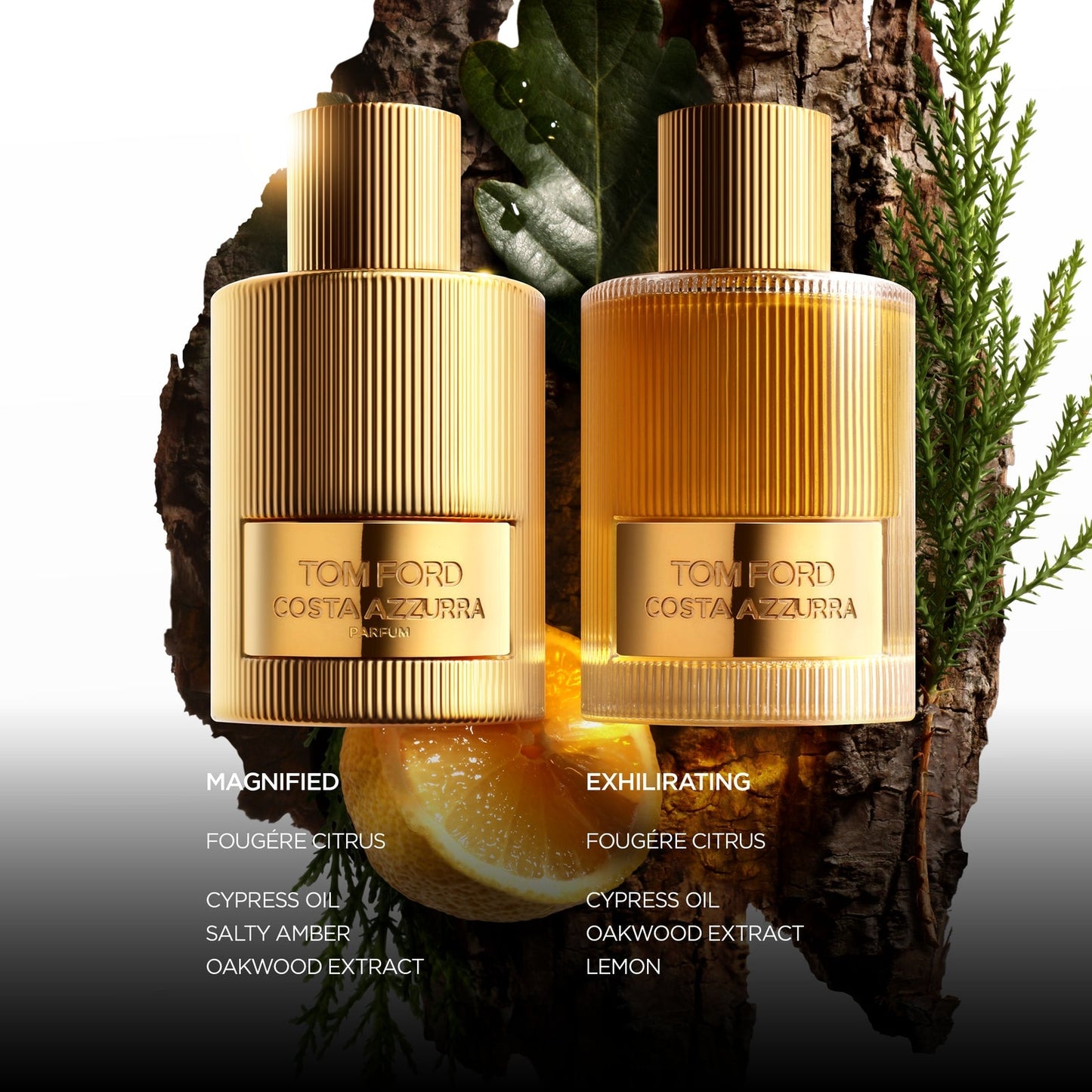 TOM FORD Signature Fragrances Costa Azzurra Eau de Parfum