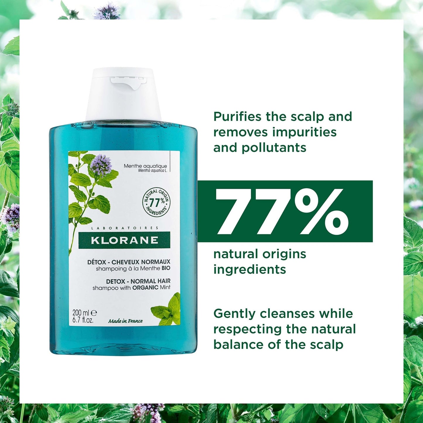 KLORANE Purifying Aquatic Mint Bundle for Pollution-Exposed Hair