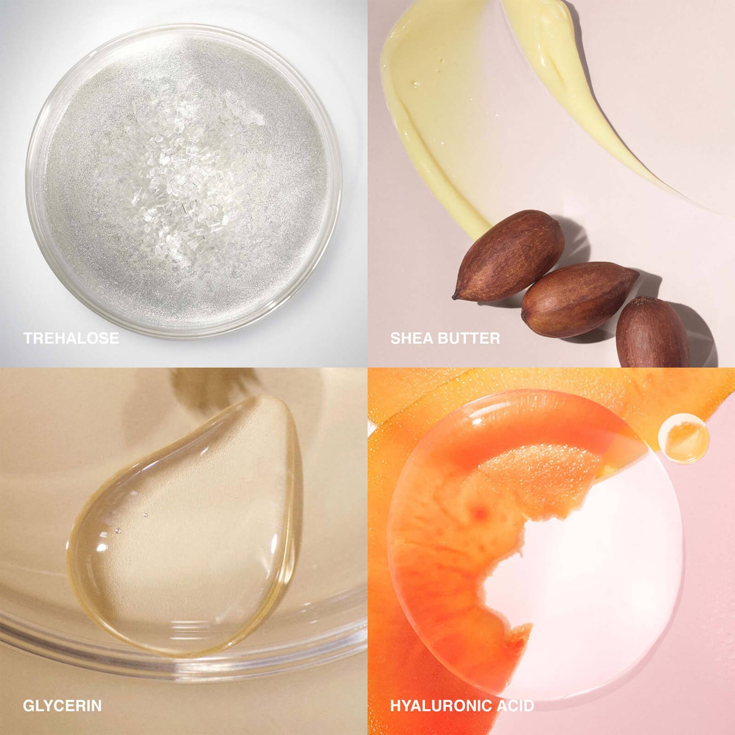 Bobbi Brown Extra Repair Moisture Cream Intense Refil 50ml