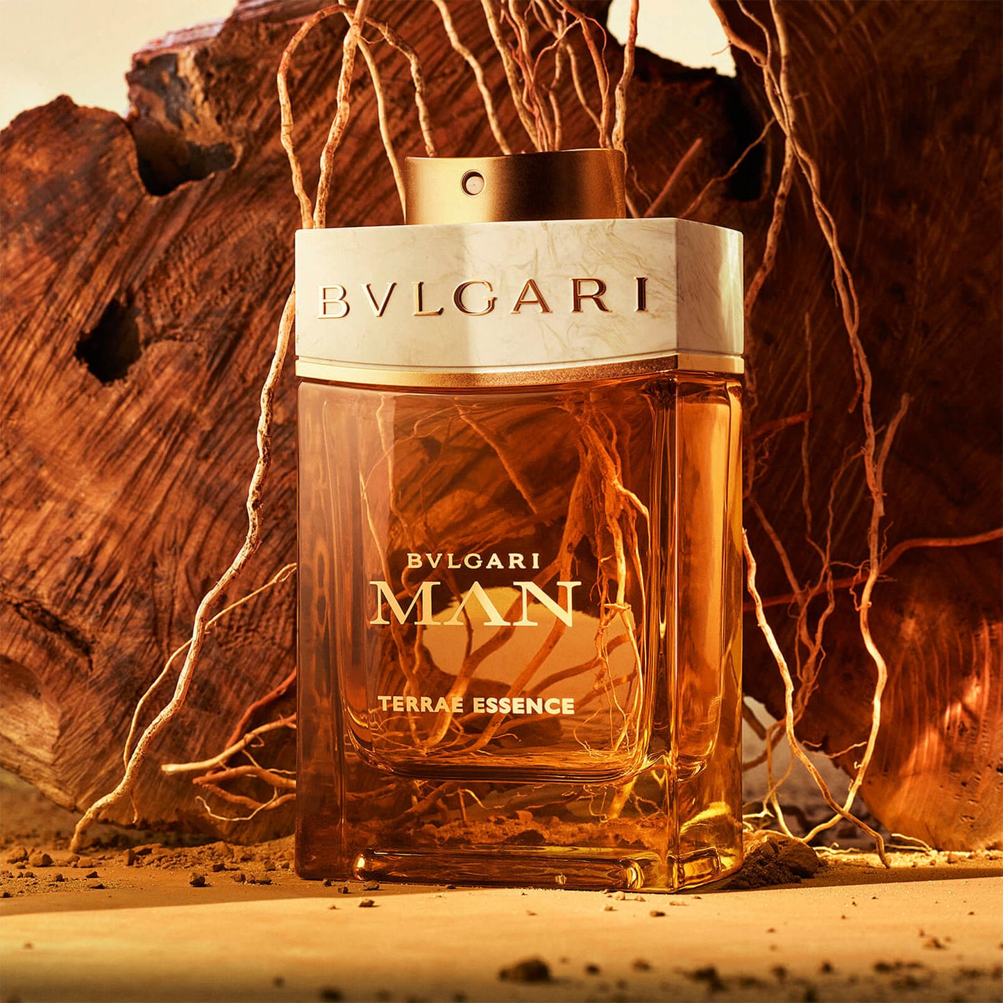 BVLGARI BVLGARI MAN Terrae Essence Eau de Parfum