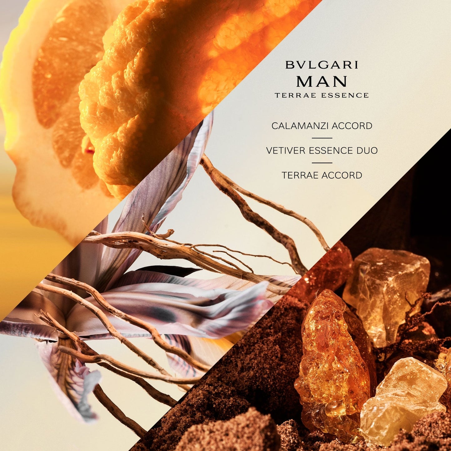 BVLGARI BVLGARI MAN Terrae Essence Eau de Parfum