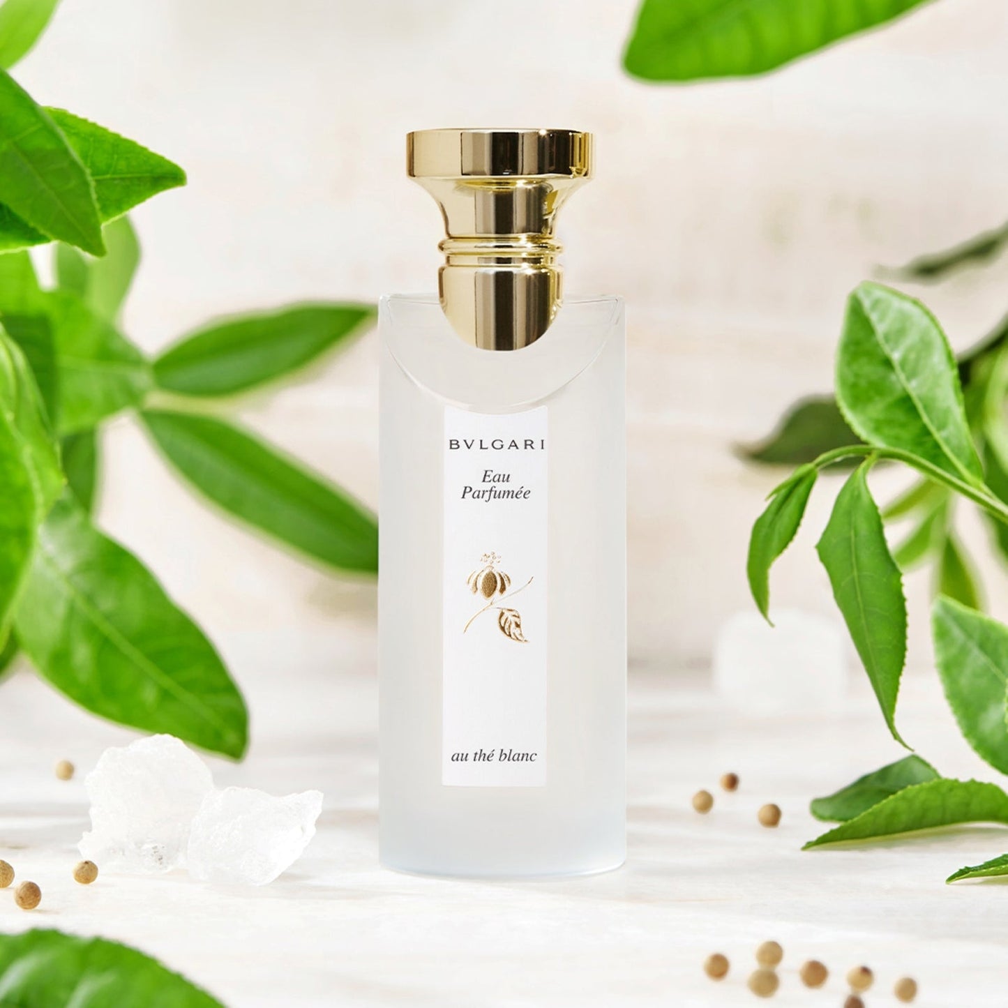 BVLGARI Eau Parfumée Au Thé Blanc Eau De Cologne 75ml